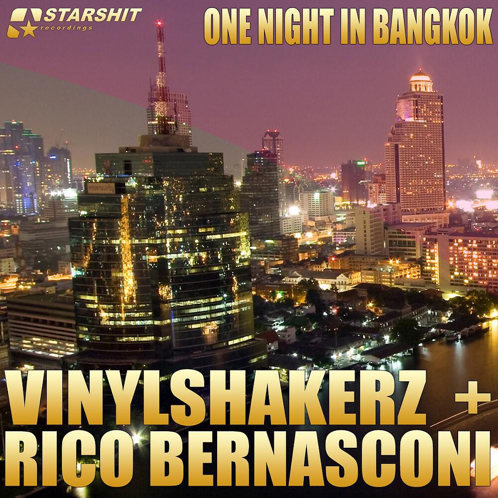 VINYLSHAKERZ + RICO BERNASCONI - One Night In Bangkok (VINYLSHAKERZ.screen cut)