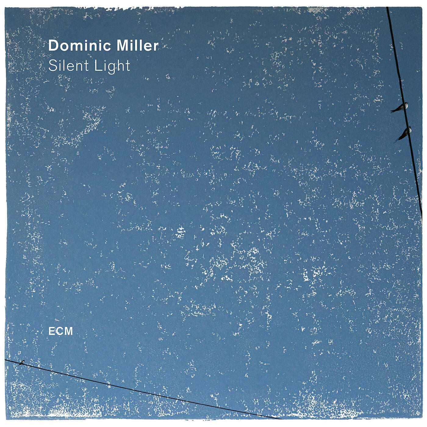 Dominic Miller - Fields Of Gold