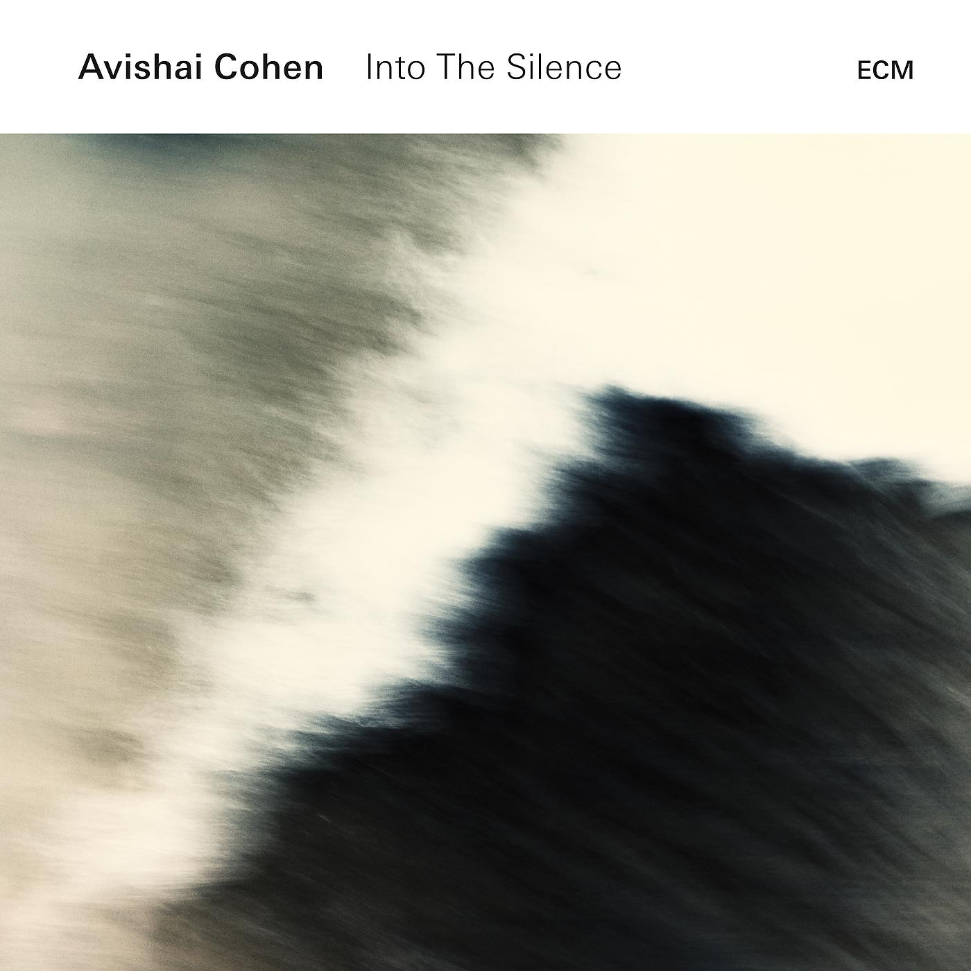 Постер альбома Into The Silence