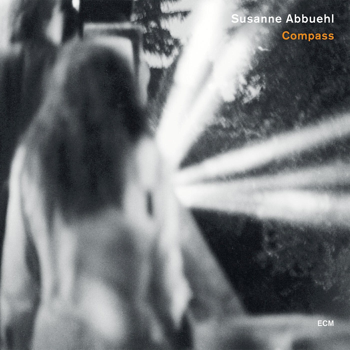 Susanne Abbuehl - In The Dark Pine-Wood