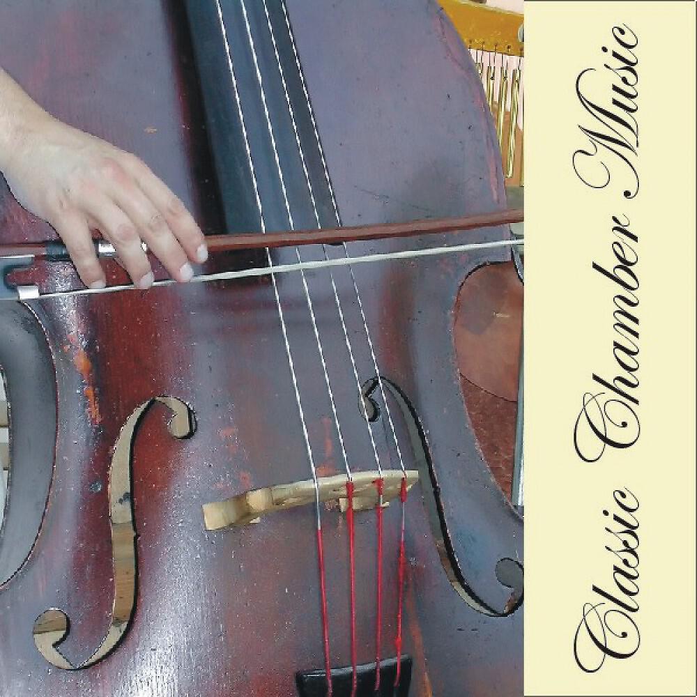 The Vienna Chamber Ensemble & Johann Sebastian Bach - Ave Maria