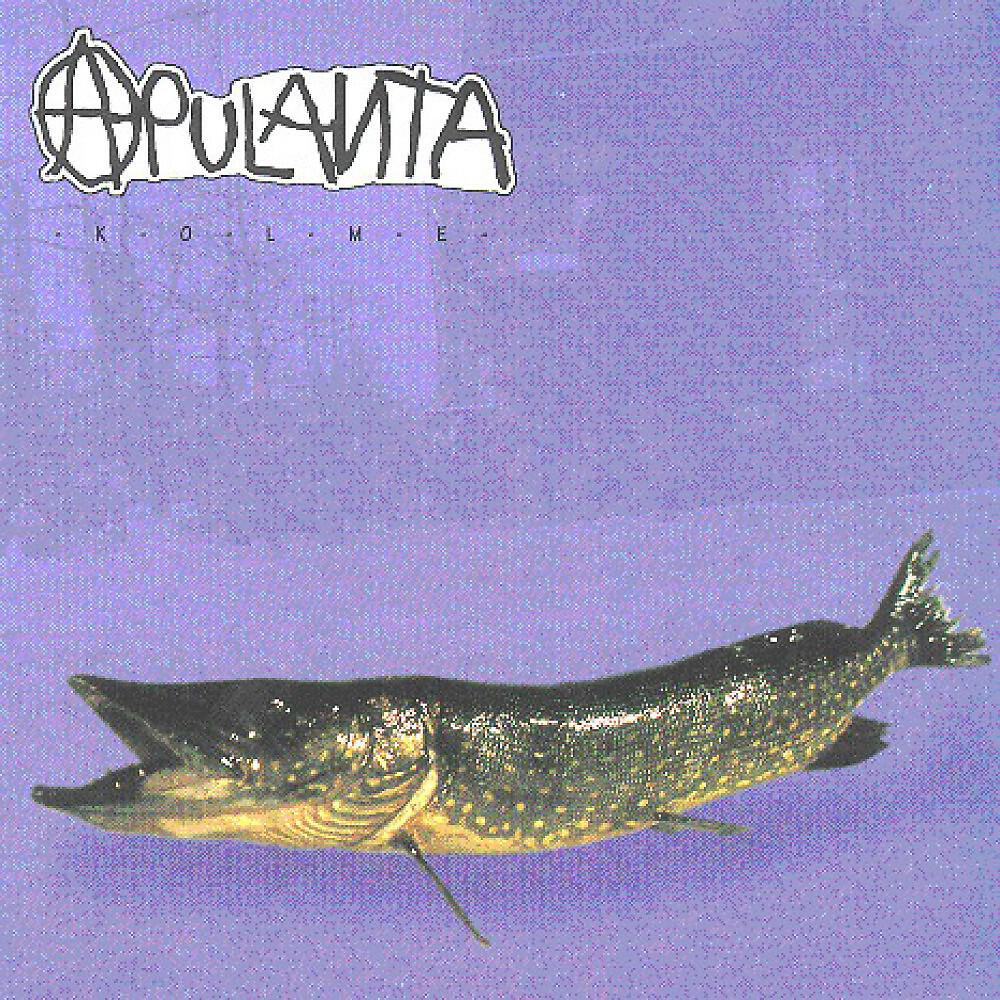 Apulanta - Liikaa