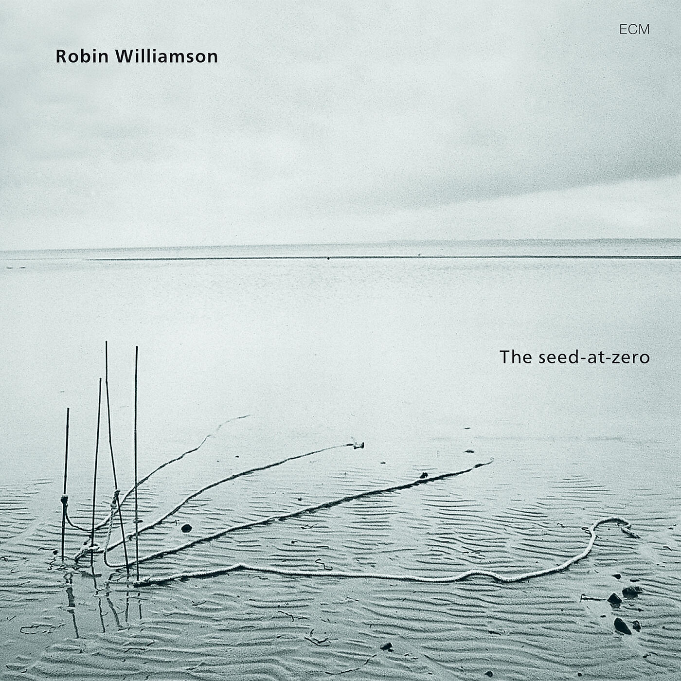 Robin Williamson - For Mr. Thomas