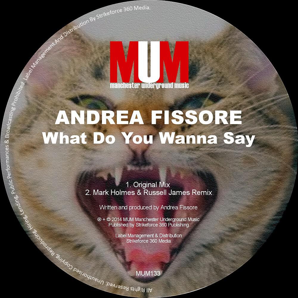 Andrea Fissore - What Do You Wanna Say (Mark Holmes & Russell James Remix)