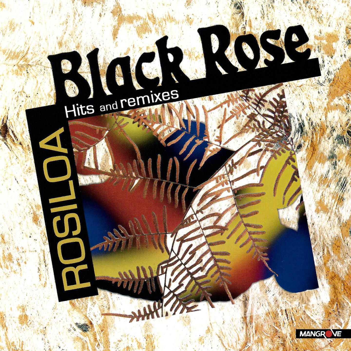 Постер альбома Rosiloa Hits & Remixes