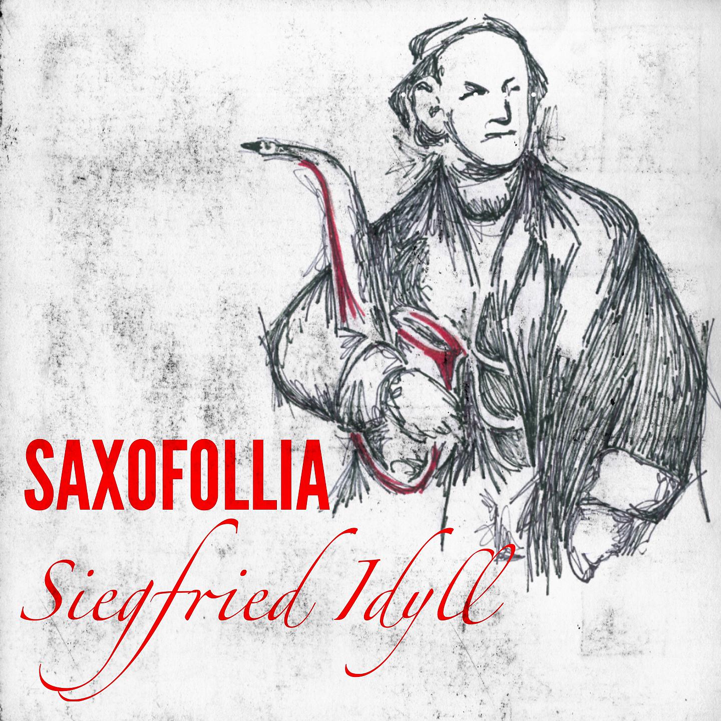 Постер альбома Siegfried-Idyll, WWV 103