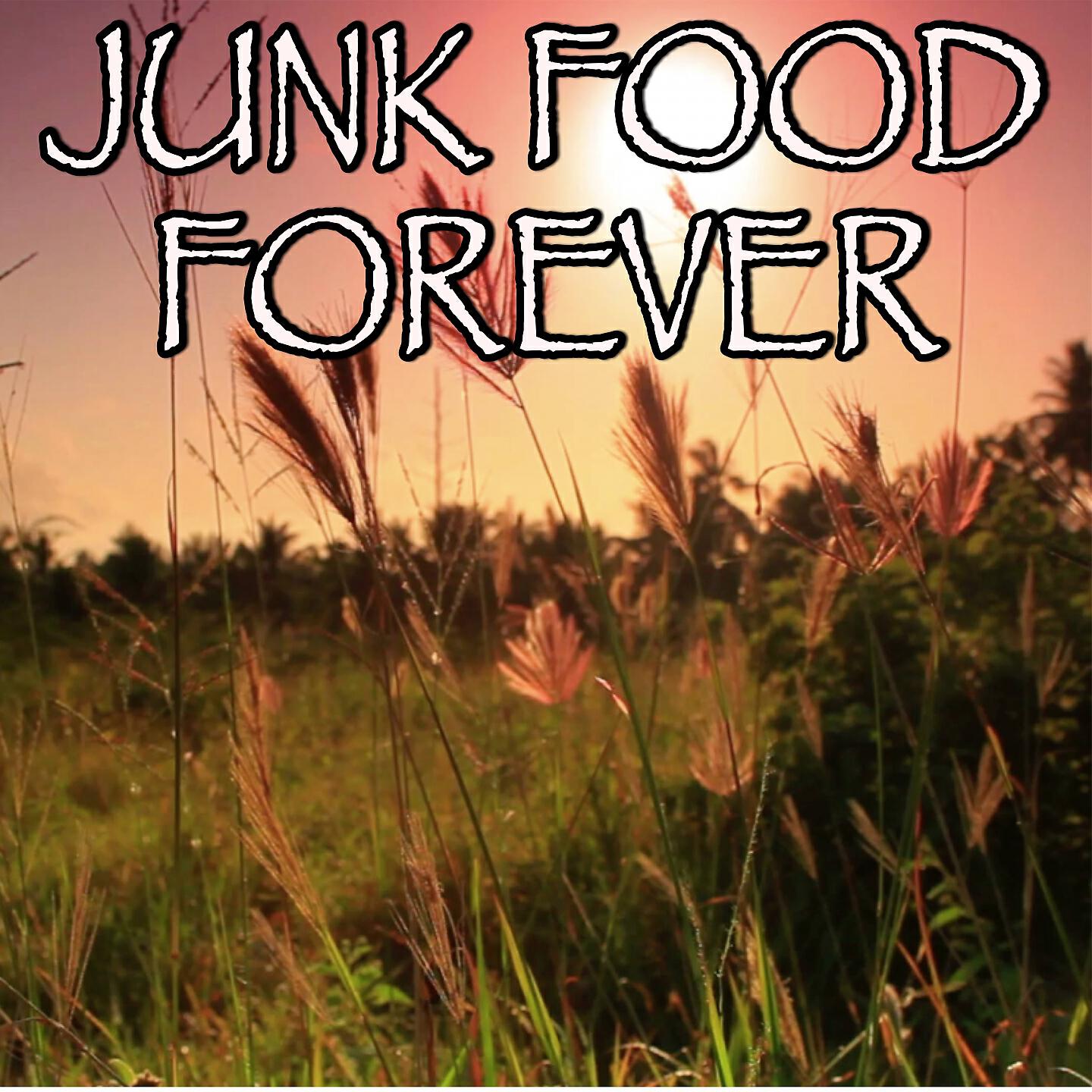2017 Billboard Masters - Junk Food Forever - Tribute to The Amazons (Instrumental Version)
