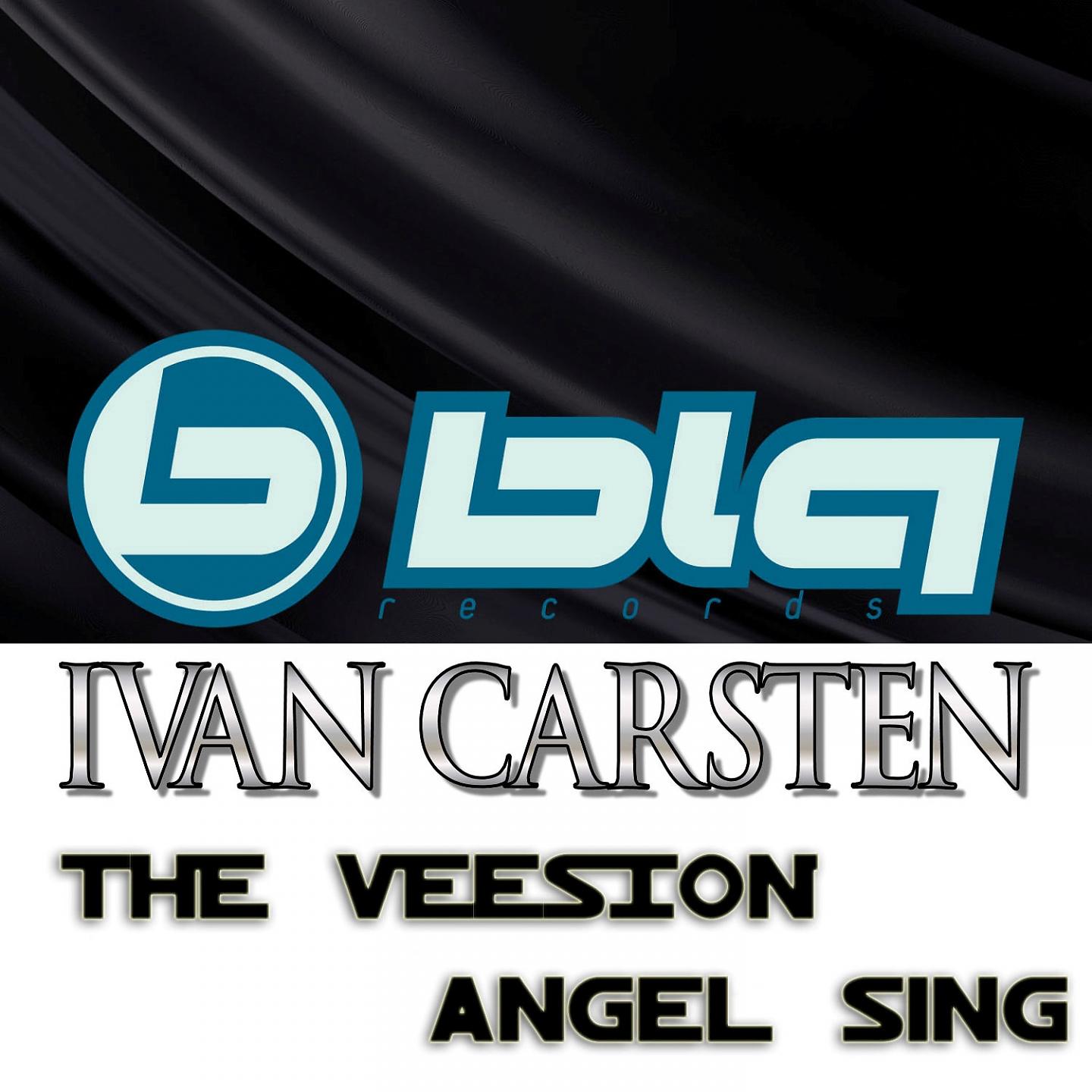 Постер альбома The Veesion