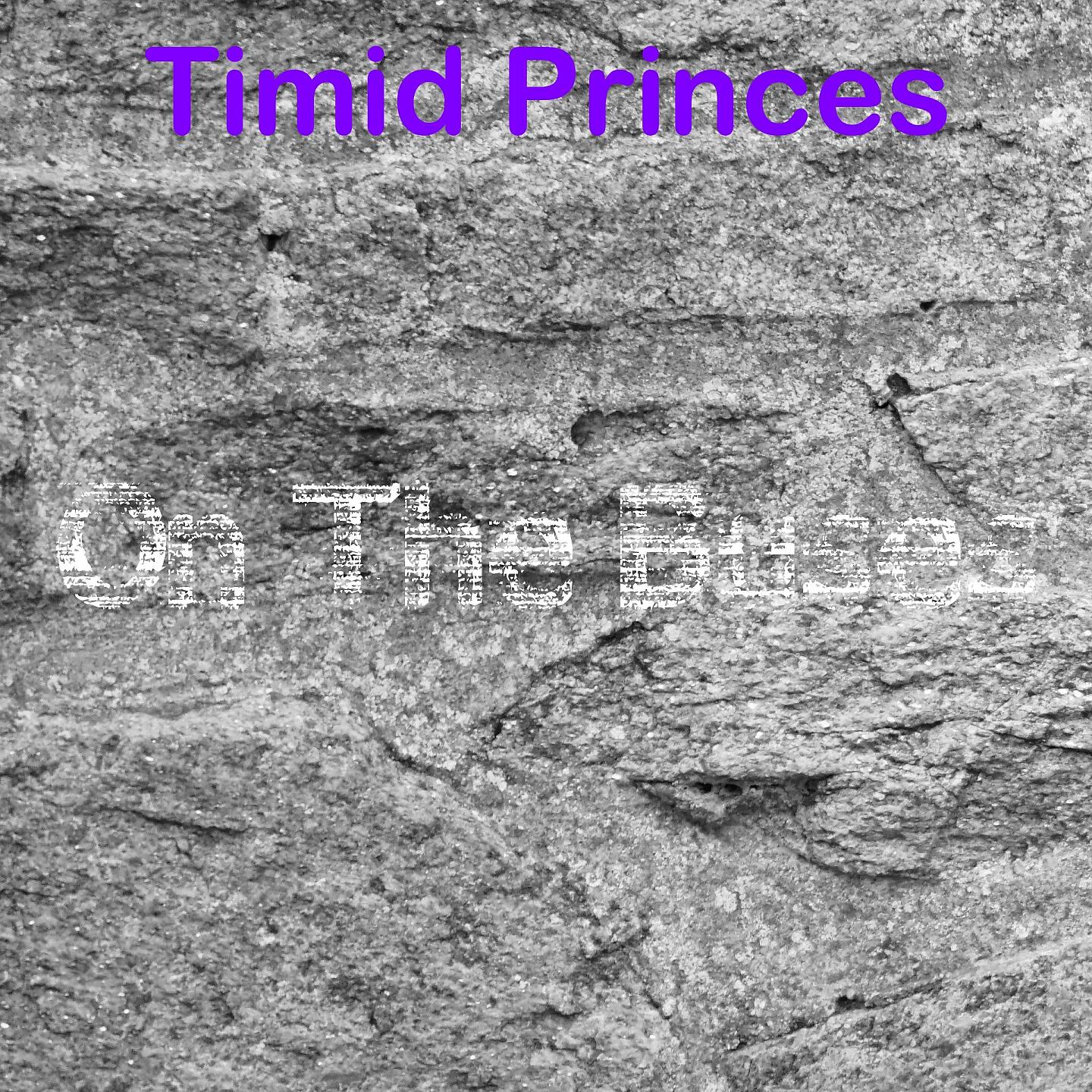 Timid Princes - Off The Coast Of Norway