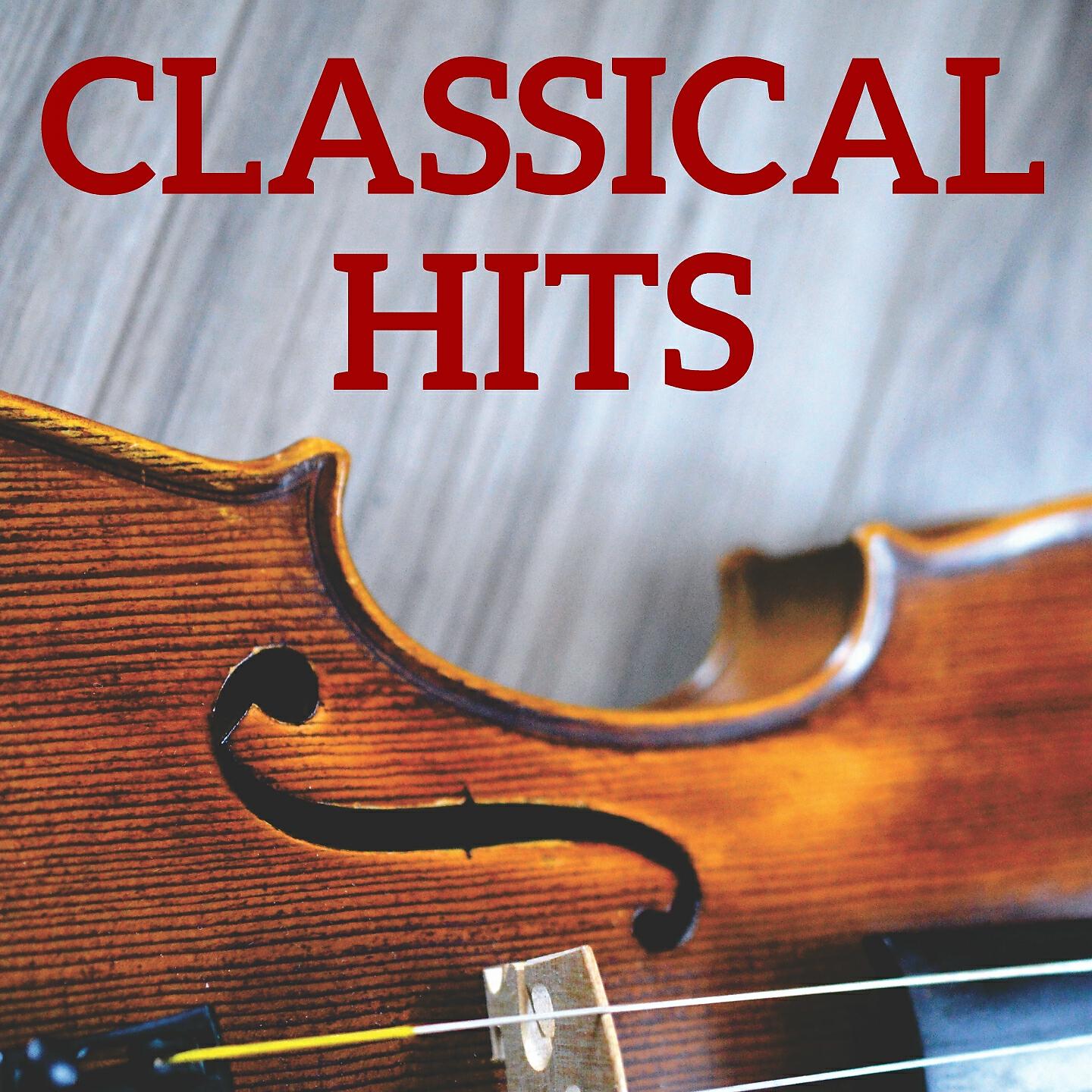 Quatuor Suk - String Quartet in D Minor, Op. 103, Hob. III:83: II. Menuetto, ma non troppo presto