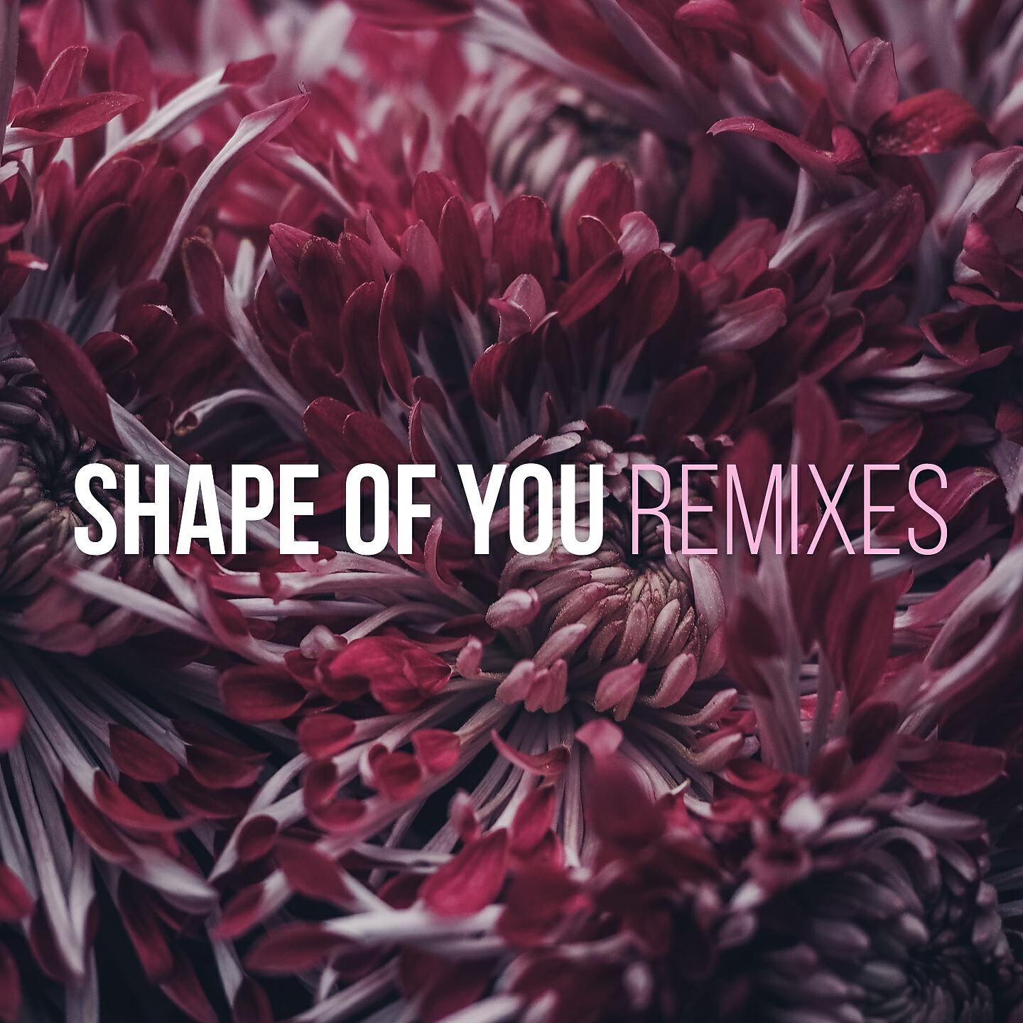 Monsieur De Shada - Shape of You (Reggaeton Remix)