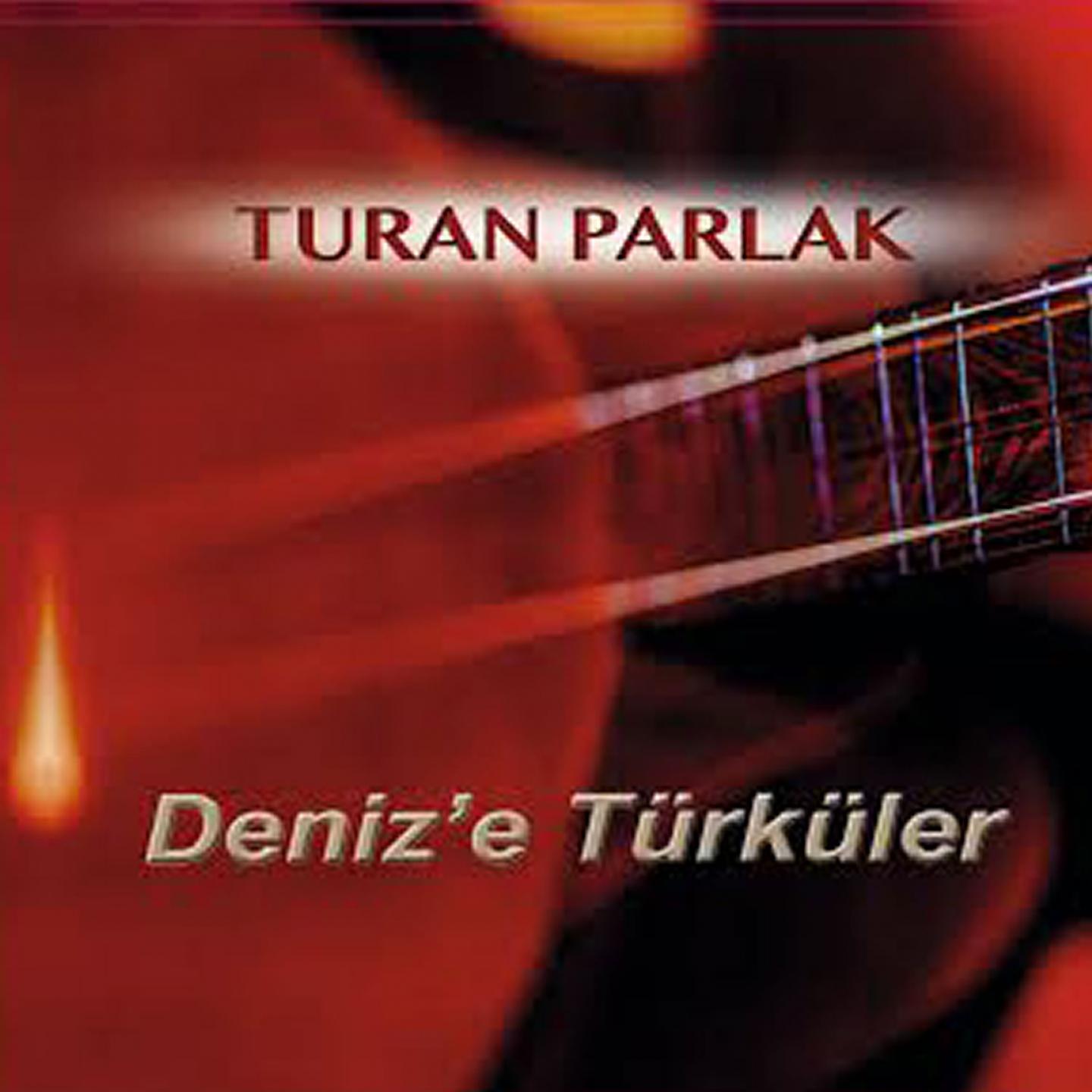 Постер альбома Deniz'e Türküler