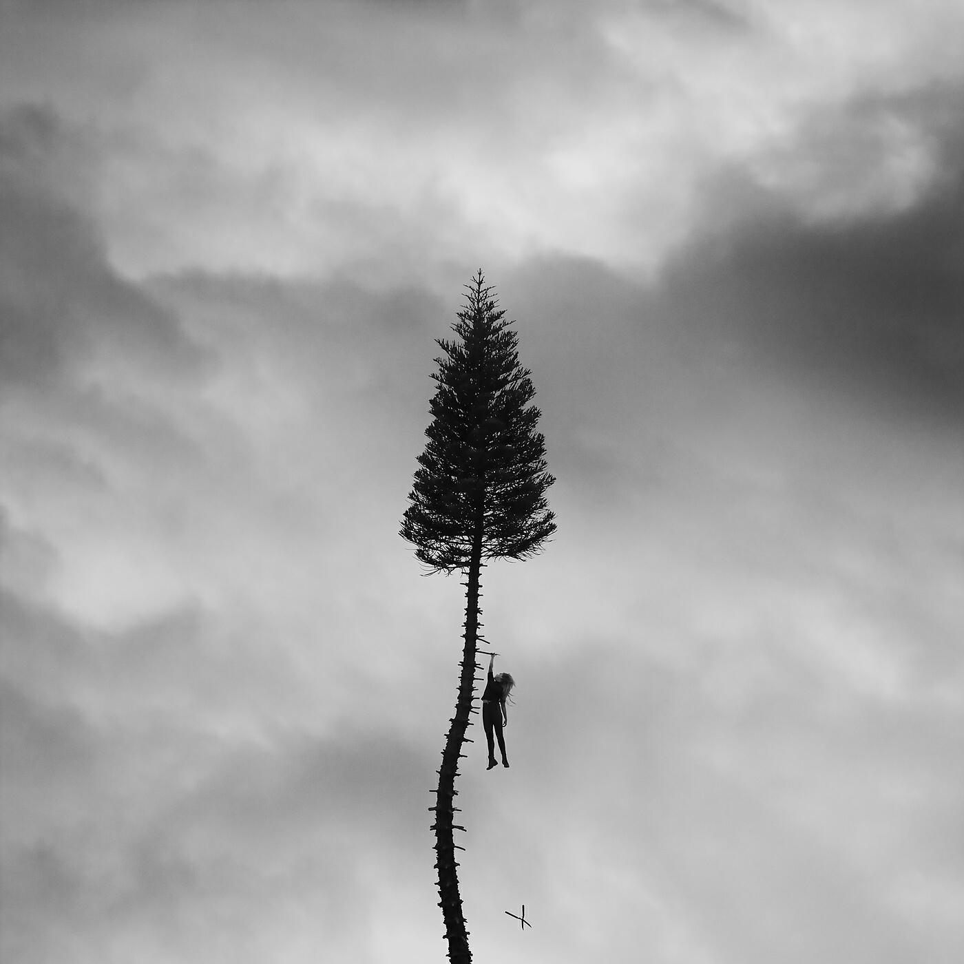 Manchester Orchestra - Lead, SD