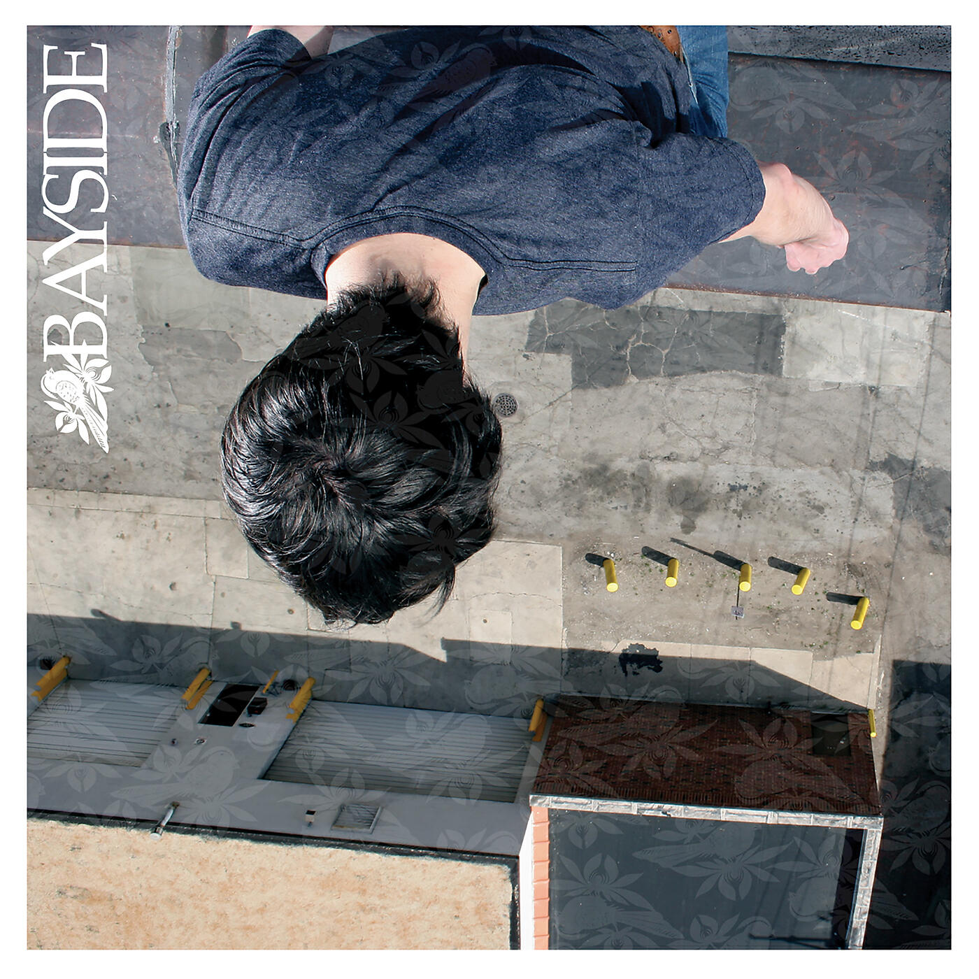 Bayside - Hello Shitty