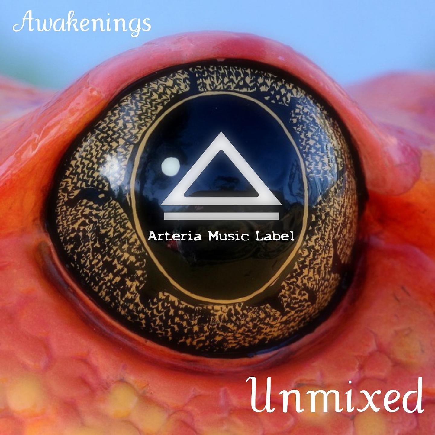 Постер альбома Awakenings the Best of Arteria Music Label 2010 Unmixed