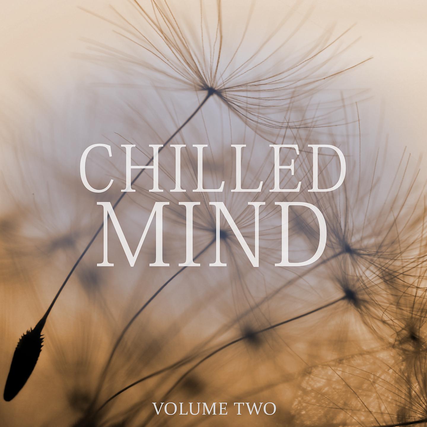 Постер альбома Chilled Mind, Vol. 2