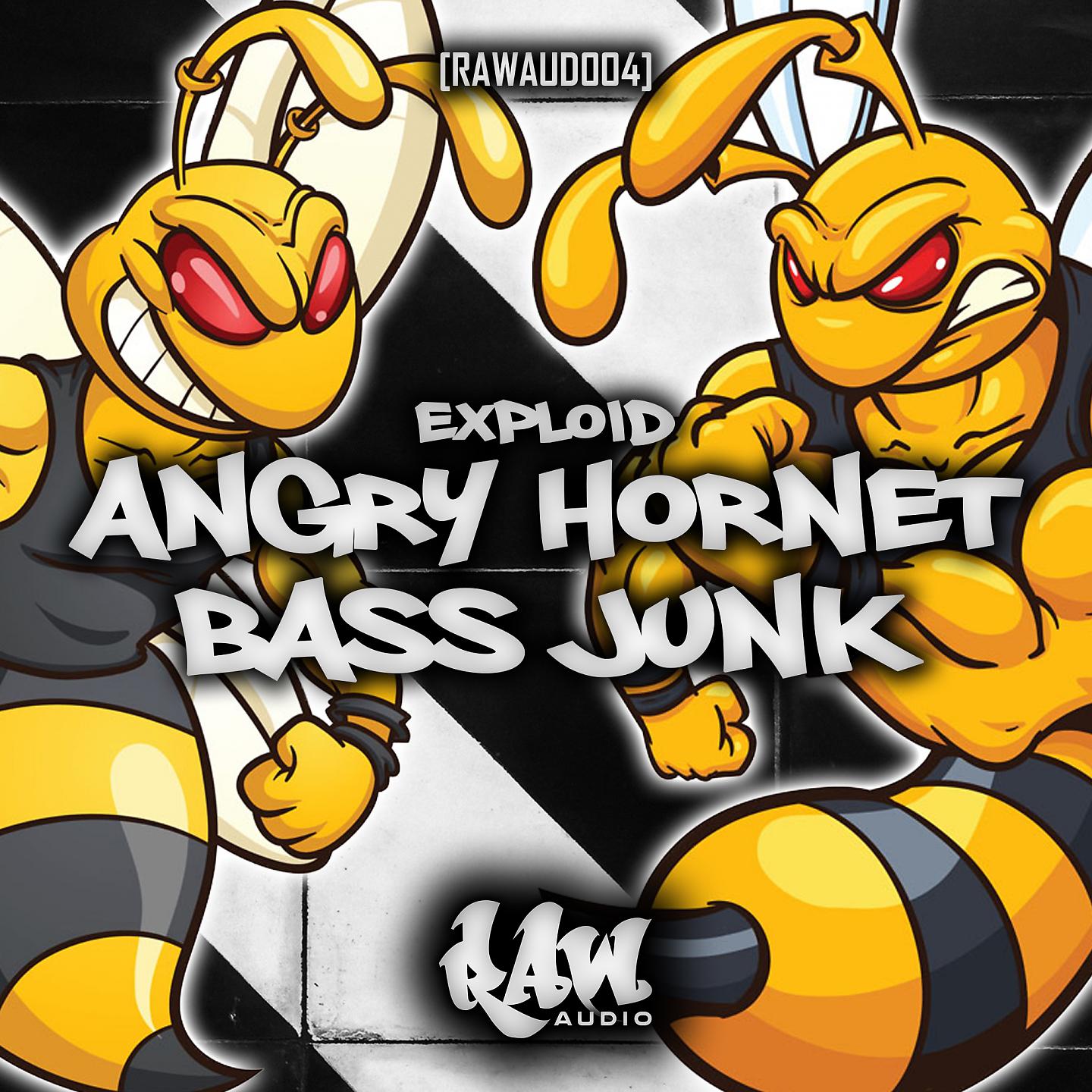 Постер альбома Angry Hornet / Bass Junk