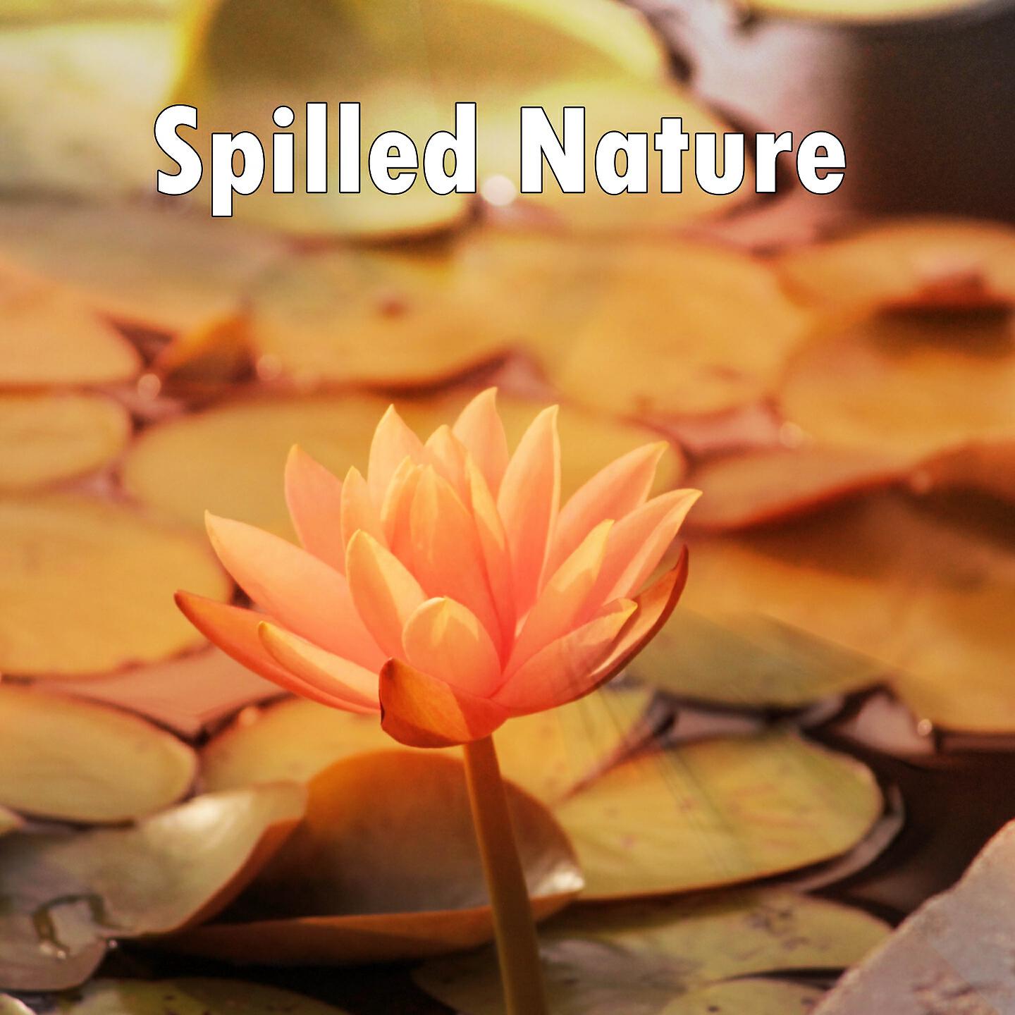 Soothing White Noise For Relaxation - Peaceful Spirit