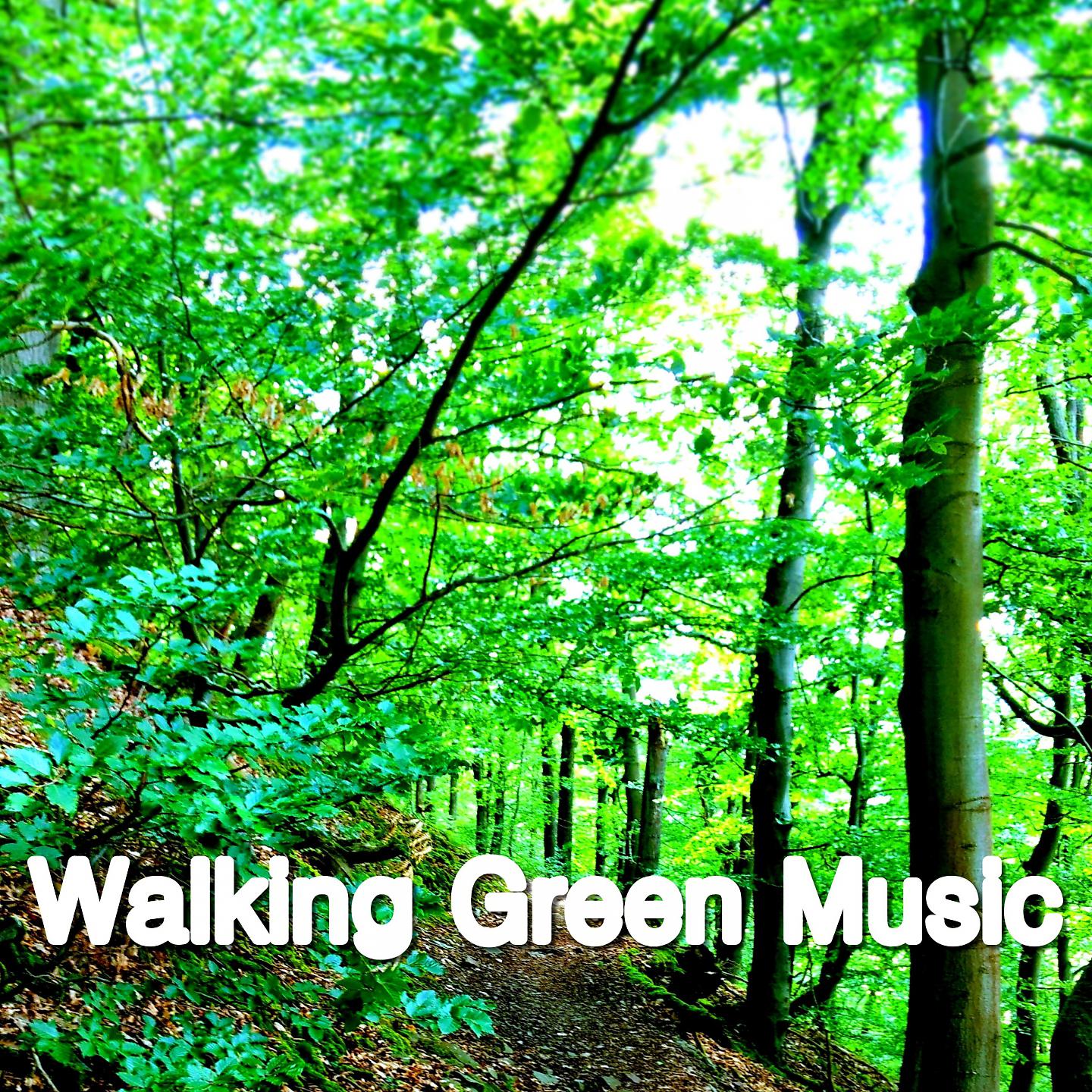Постер альбома Walking Green Music