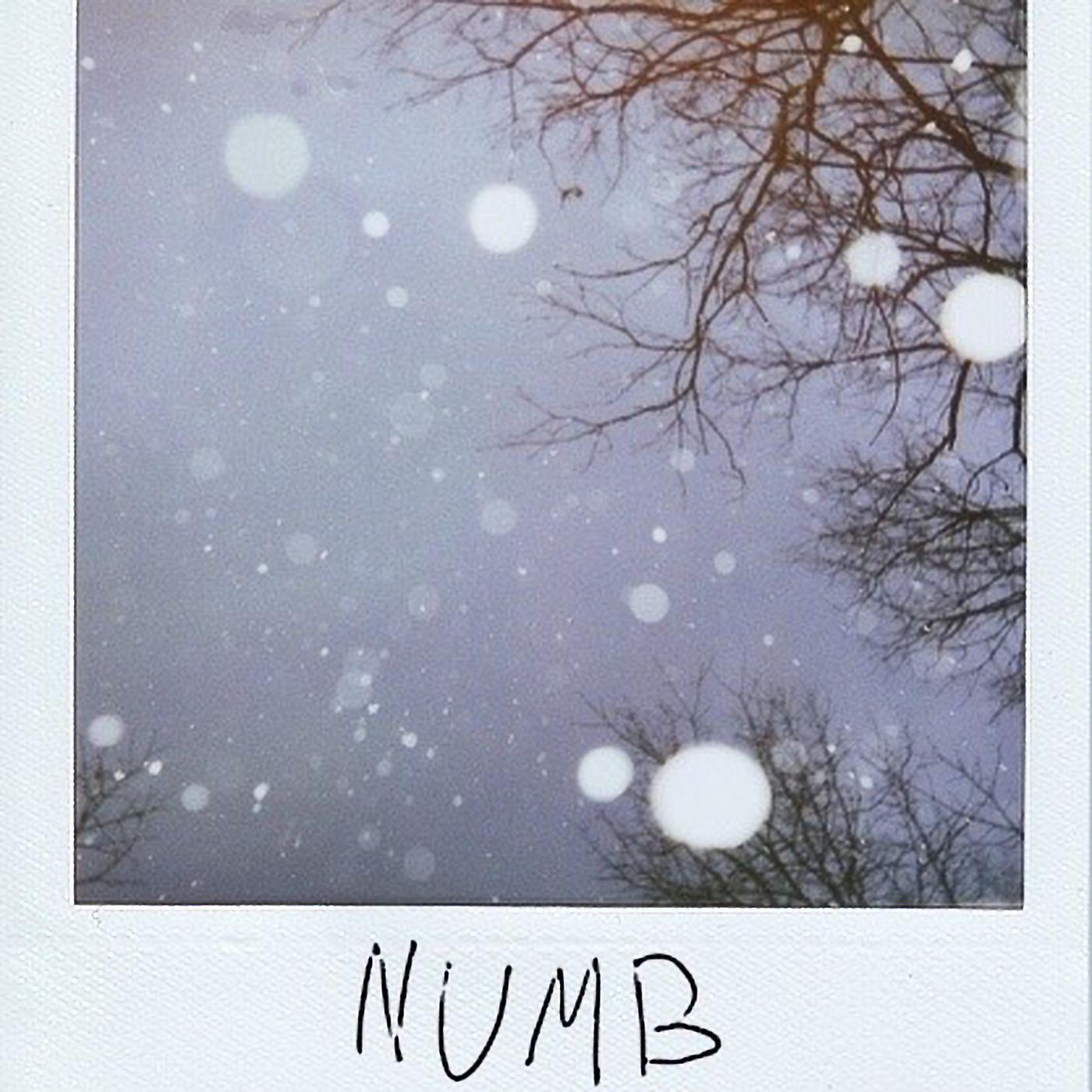 Постер альбома Numb
