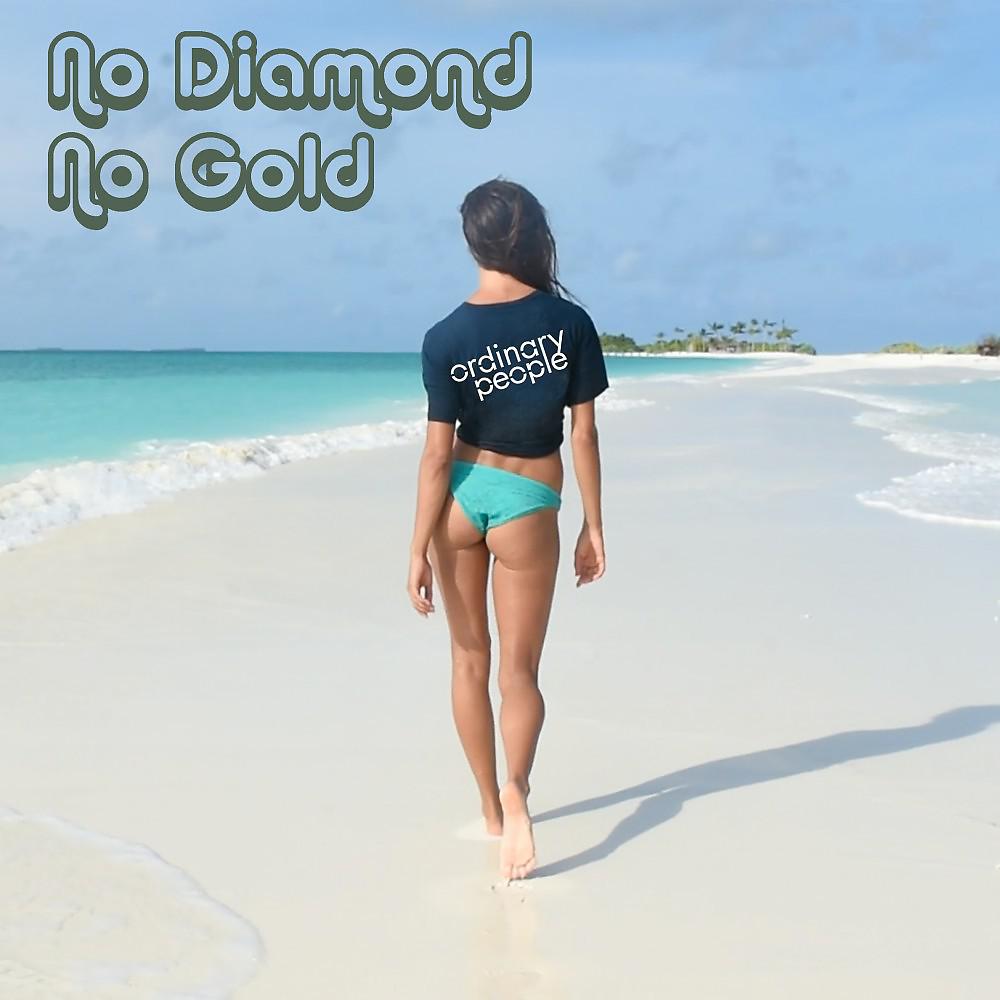 Постер альбома No Diamond No Gold