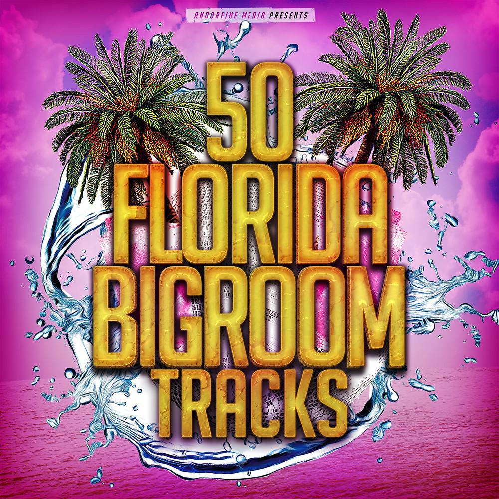 Постер альбома 50 Florida Bigroom Tracks