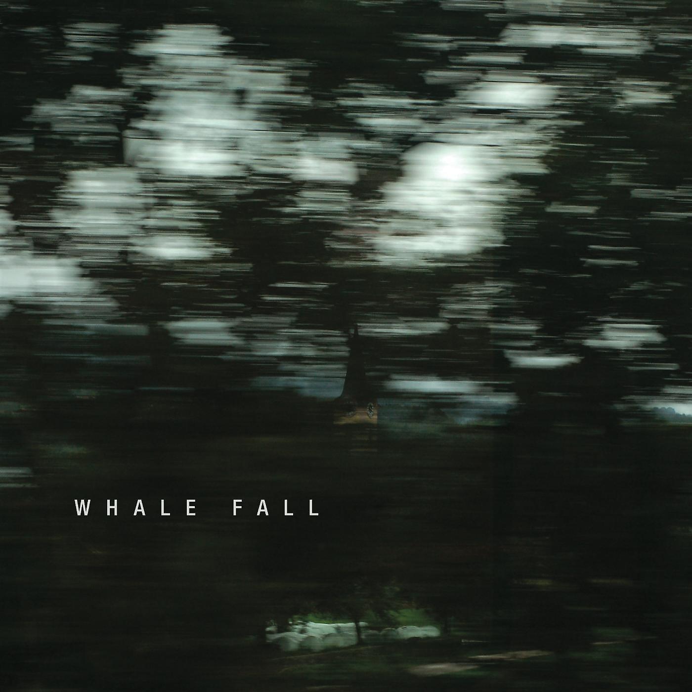 Постер альбома Whale Fall