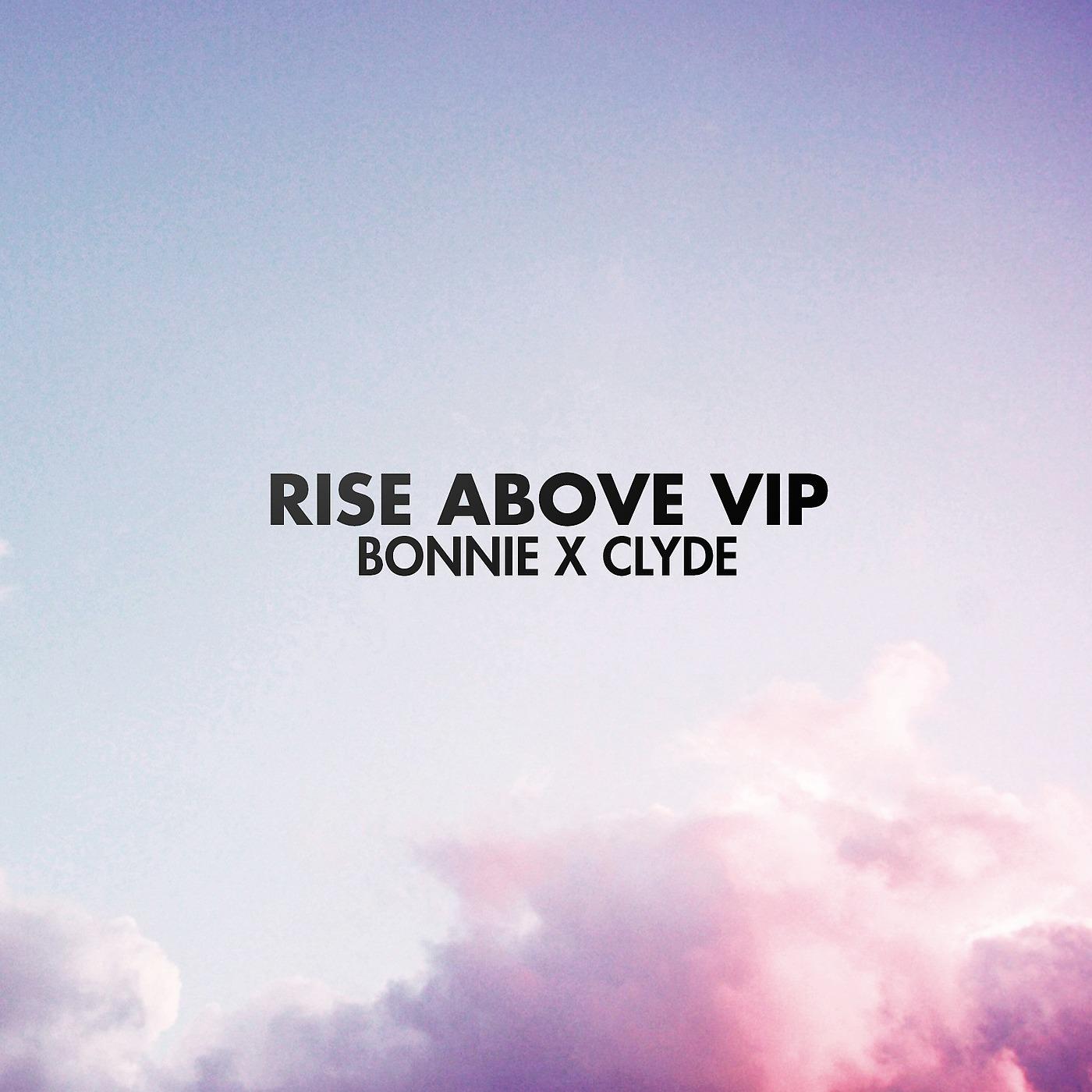 Постер альбома Rise Above (Vip)