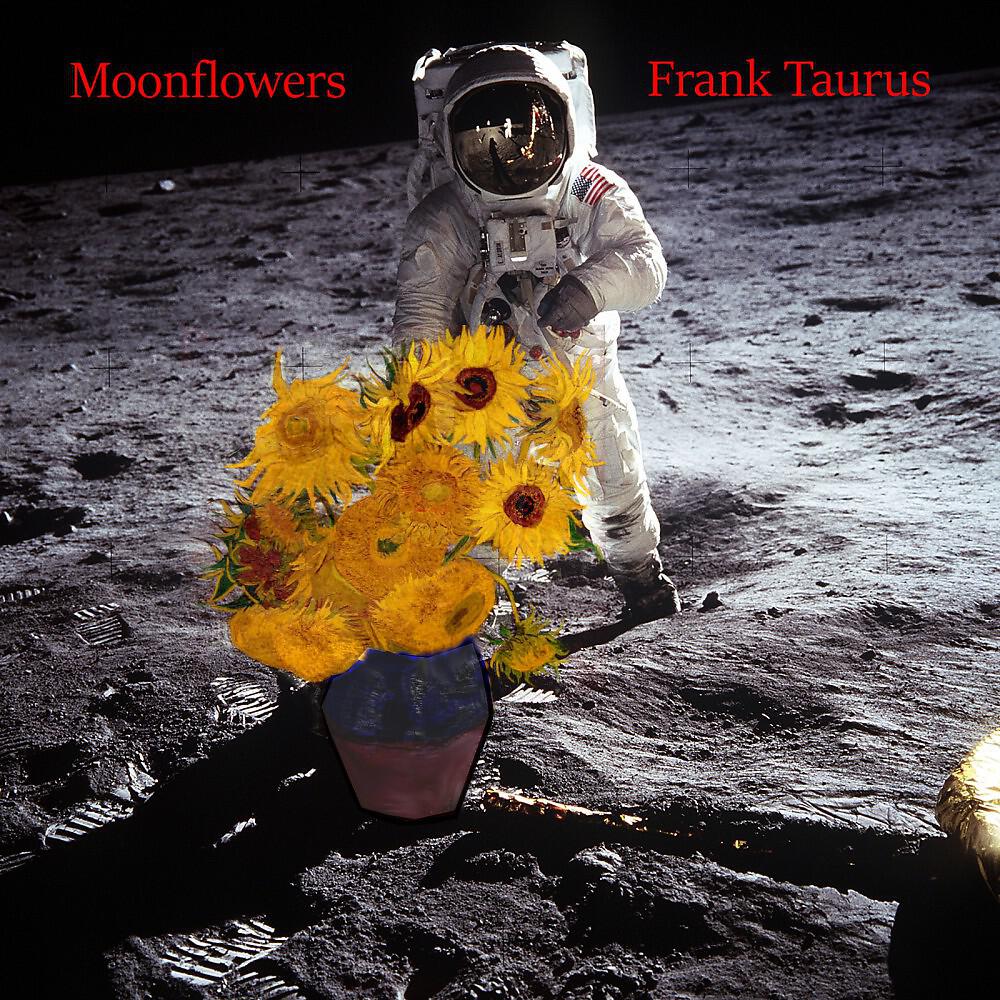 Frank Taurus - Eternal Moment