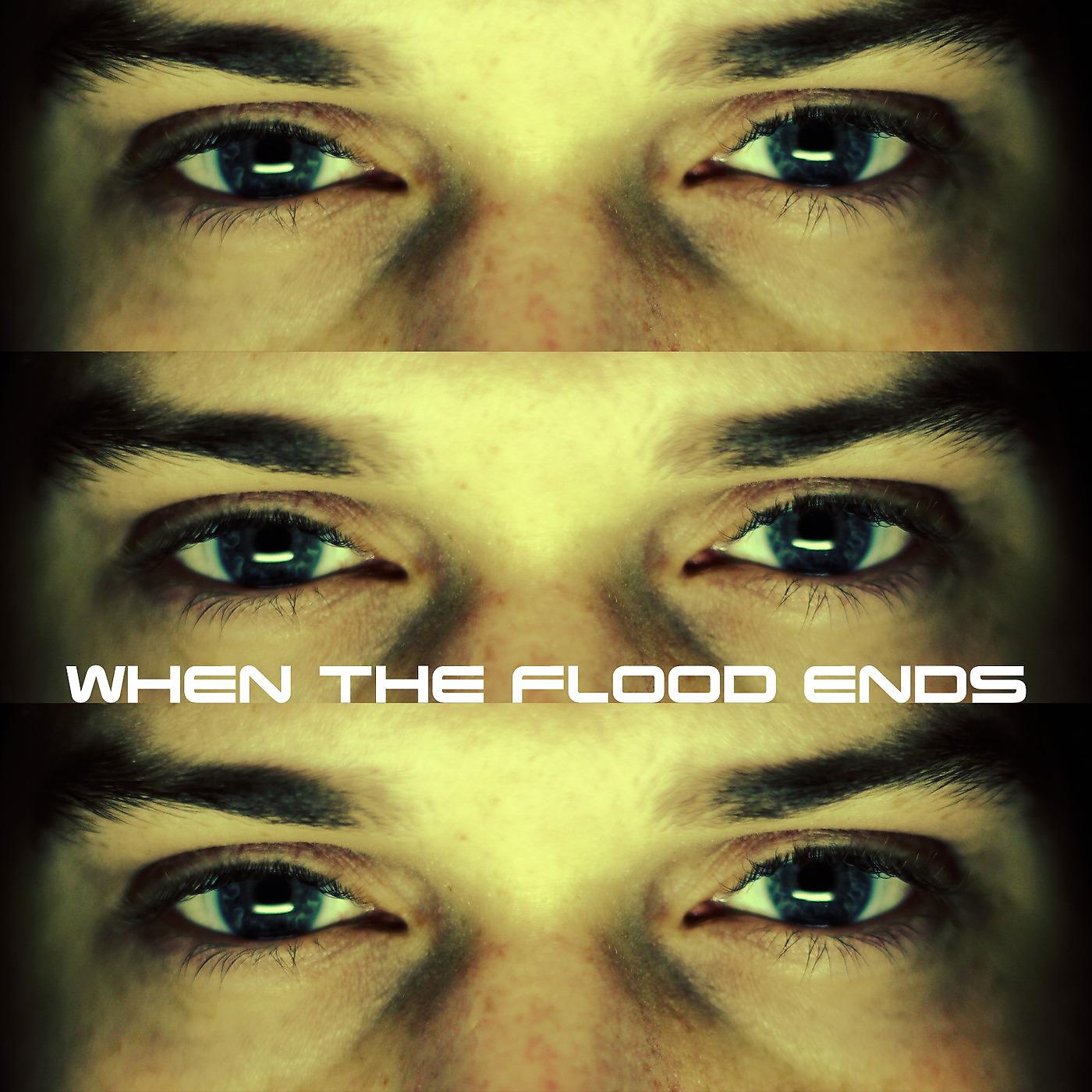 Постер альбома When the Flood Ends