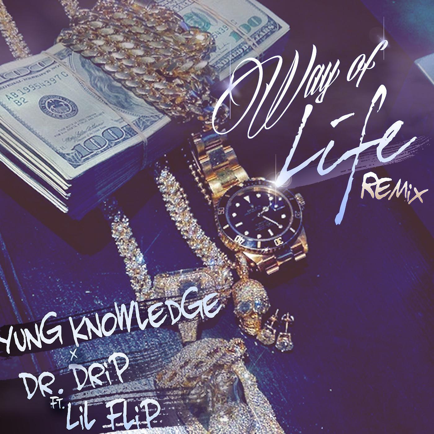 Yung Knowledge & Dr. Drip - Way of Life (Remix) [feat. Lil Flip]