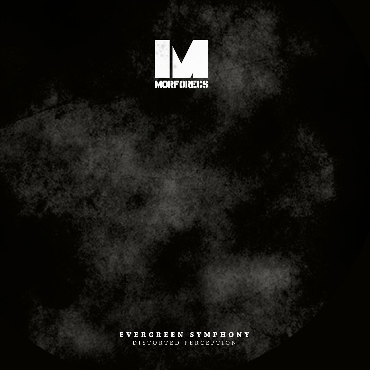 Evergreen Symphony - Outside the Box