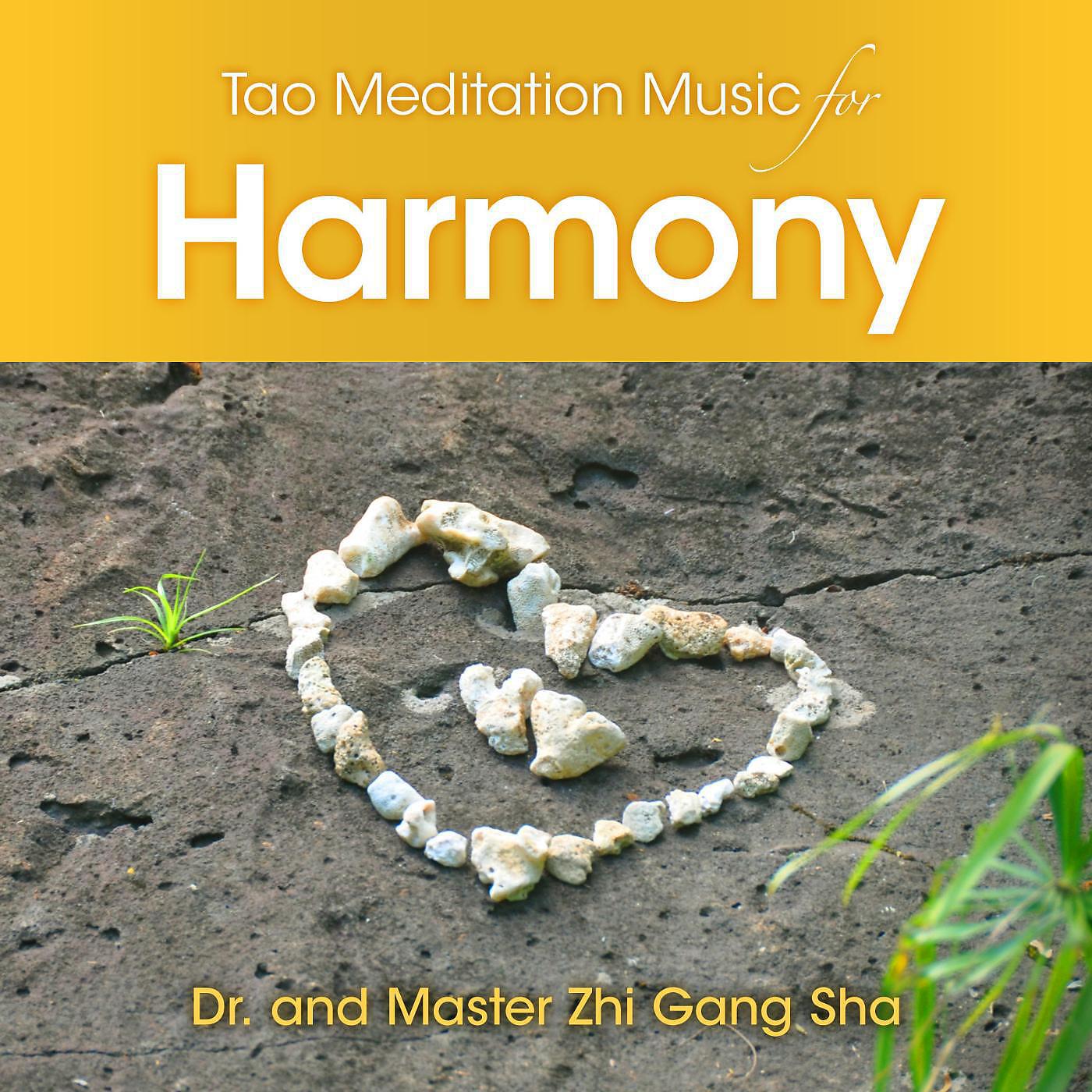 Dr. & Master Zhi Gang Sha - Tao Meditation Music for Harmony