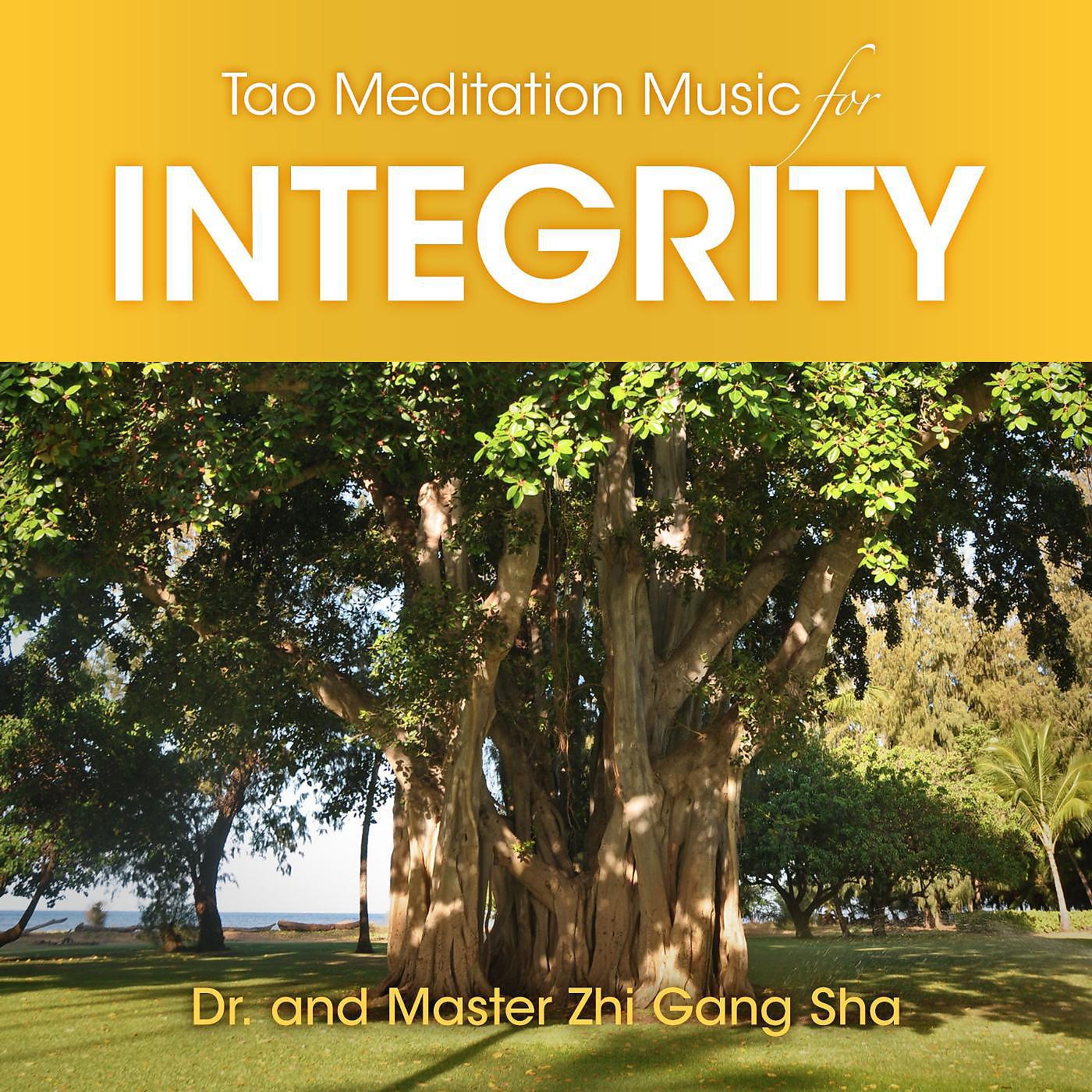 Постер альбома Tao Meditation Music for Integrity