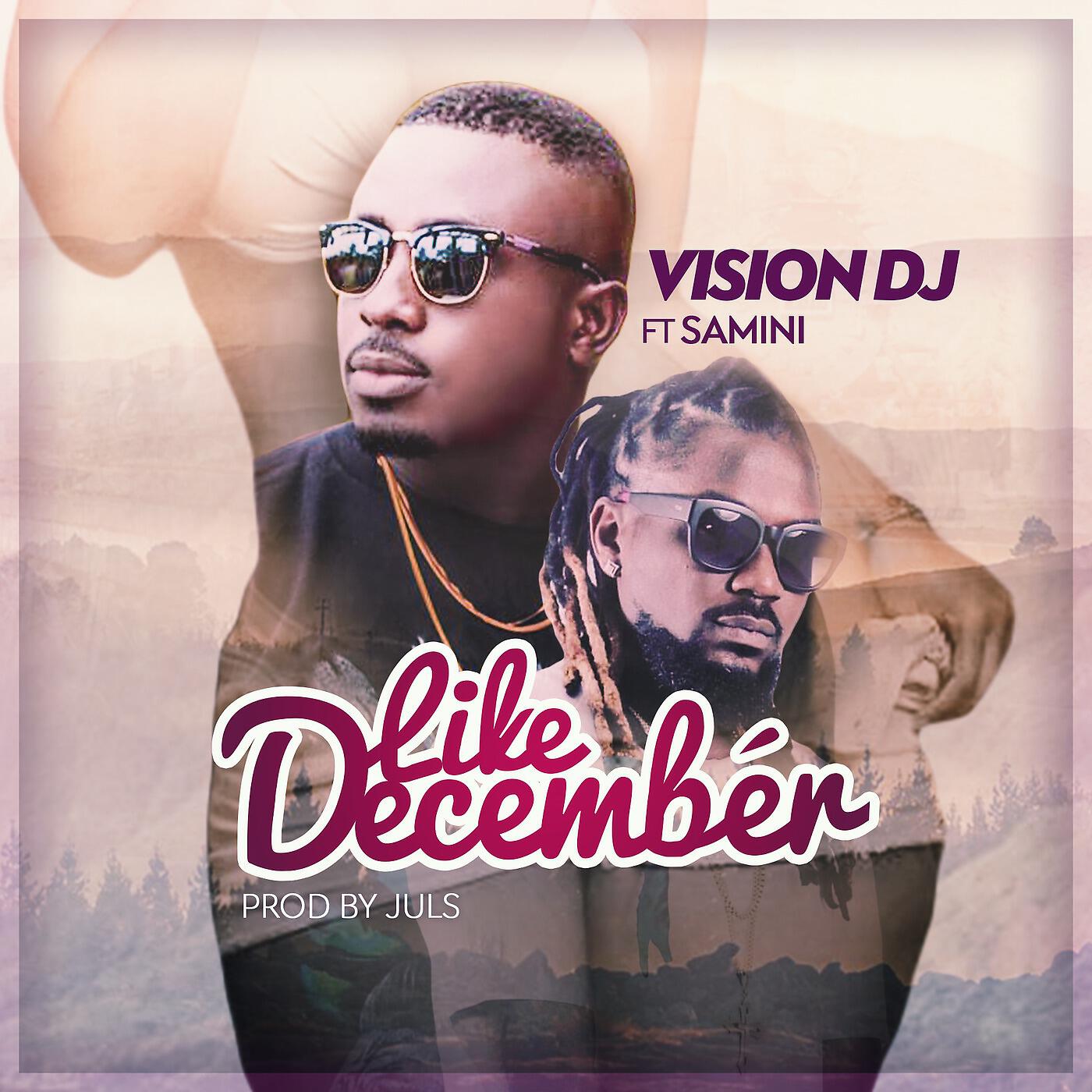 Vision DJ - Like December (feat. Samini)