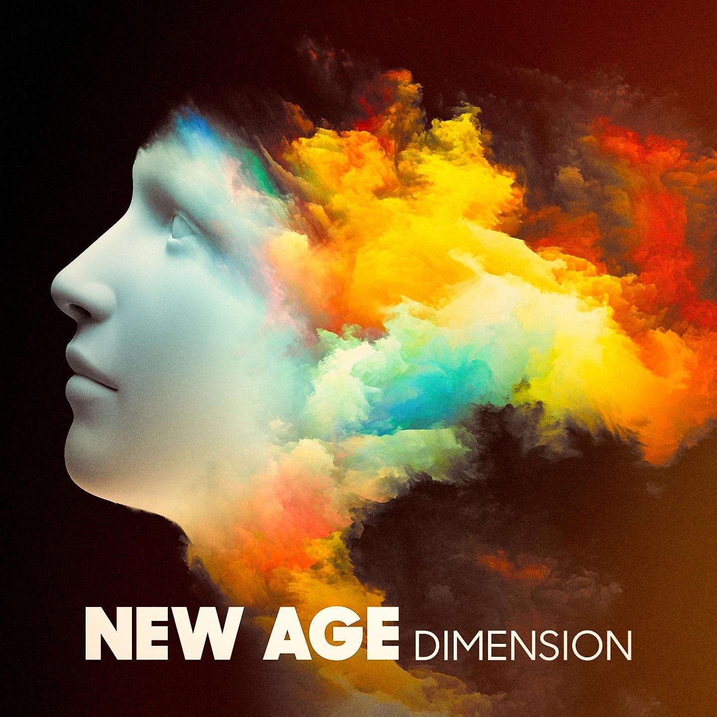 Постер альбома New Age Dimension