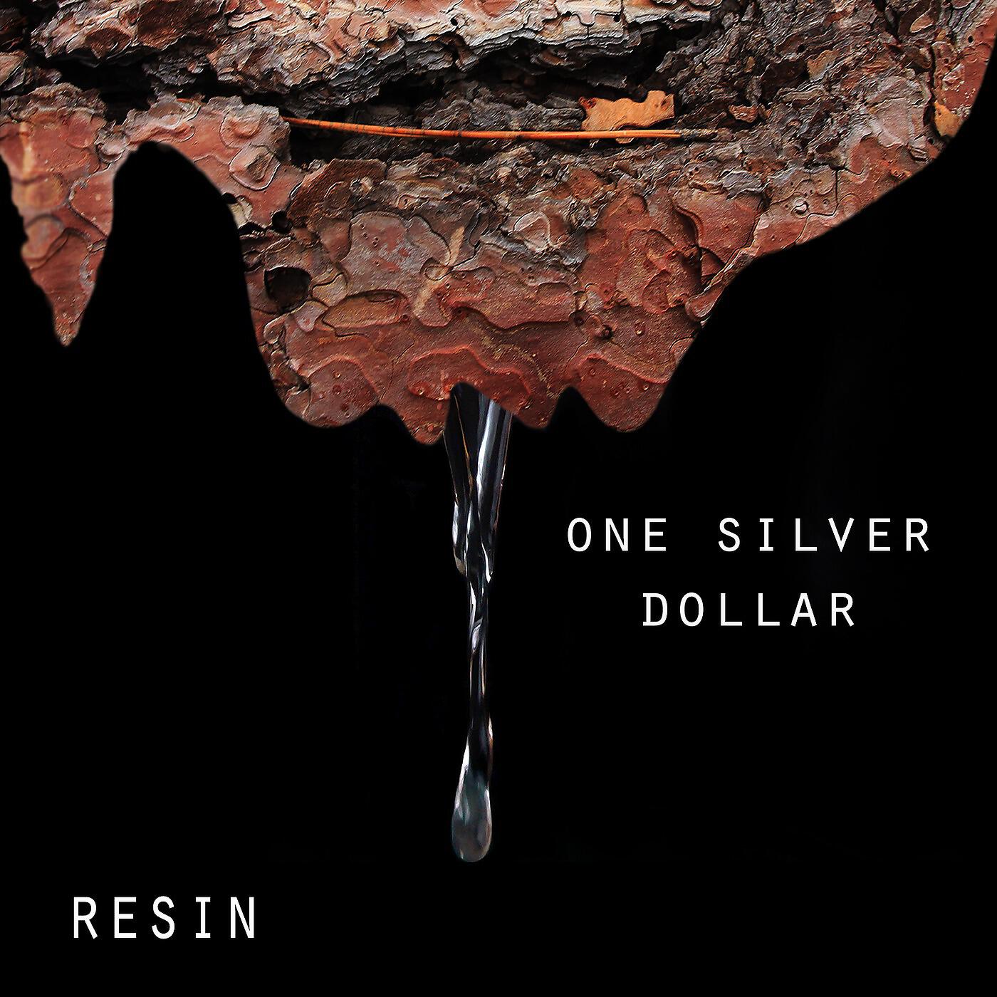 Resin - One Silver Dollar