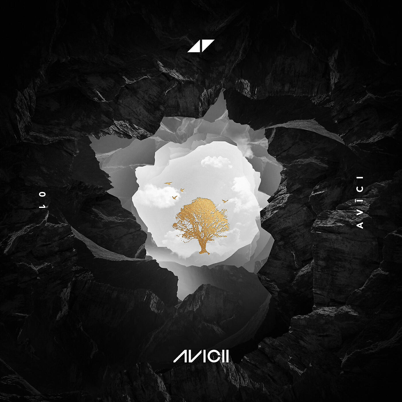 Avicii - What Would I Change It To