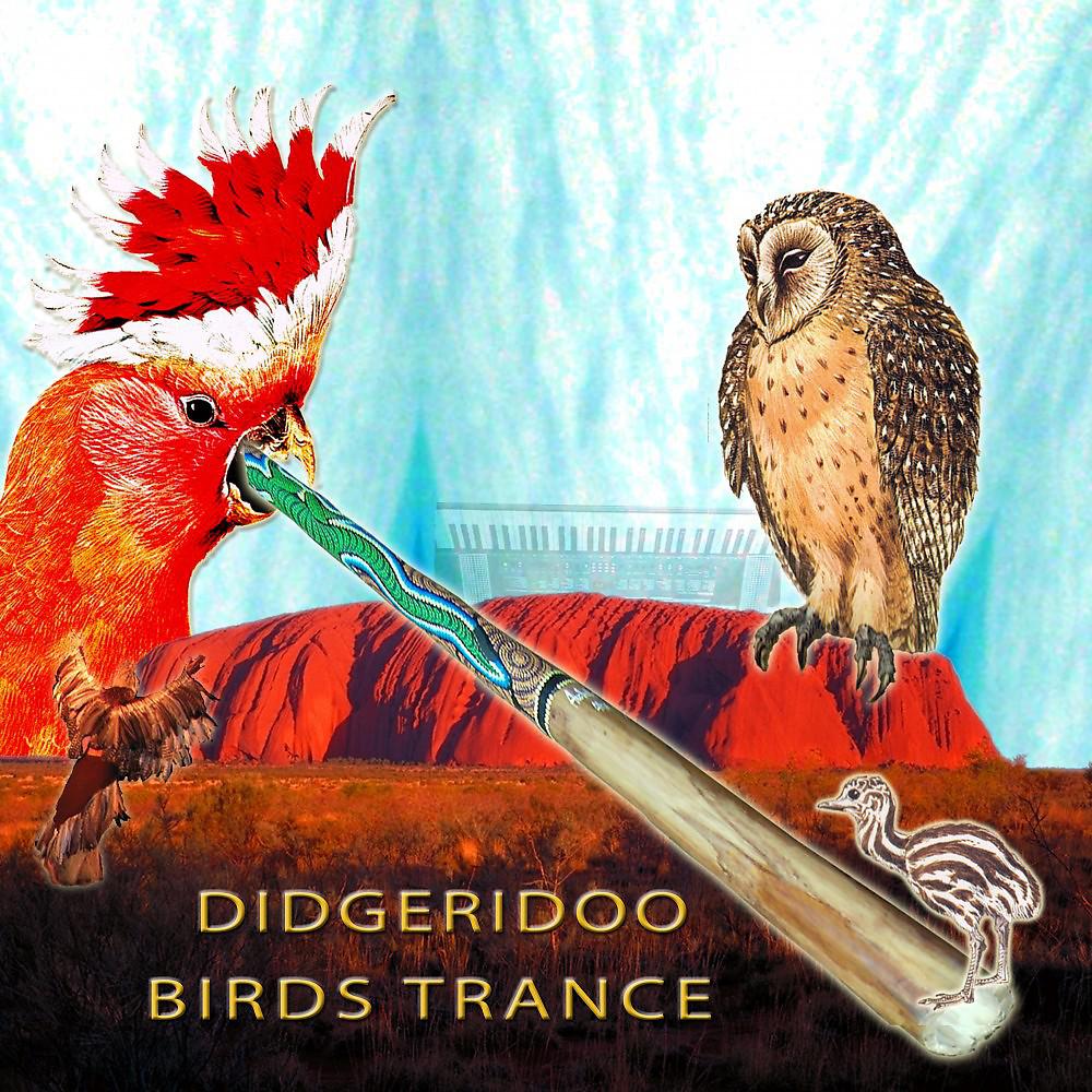Постер альбома Didgeridoo Birds Dance (Naturally Groovy)