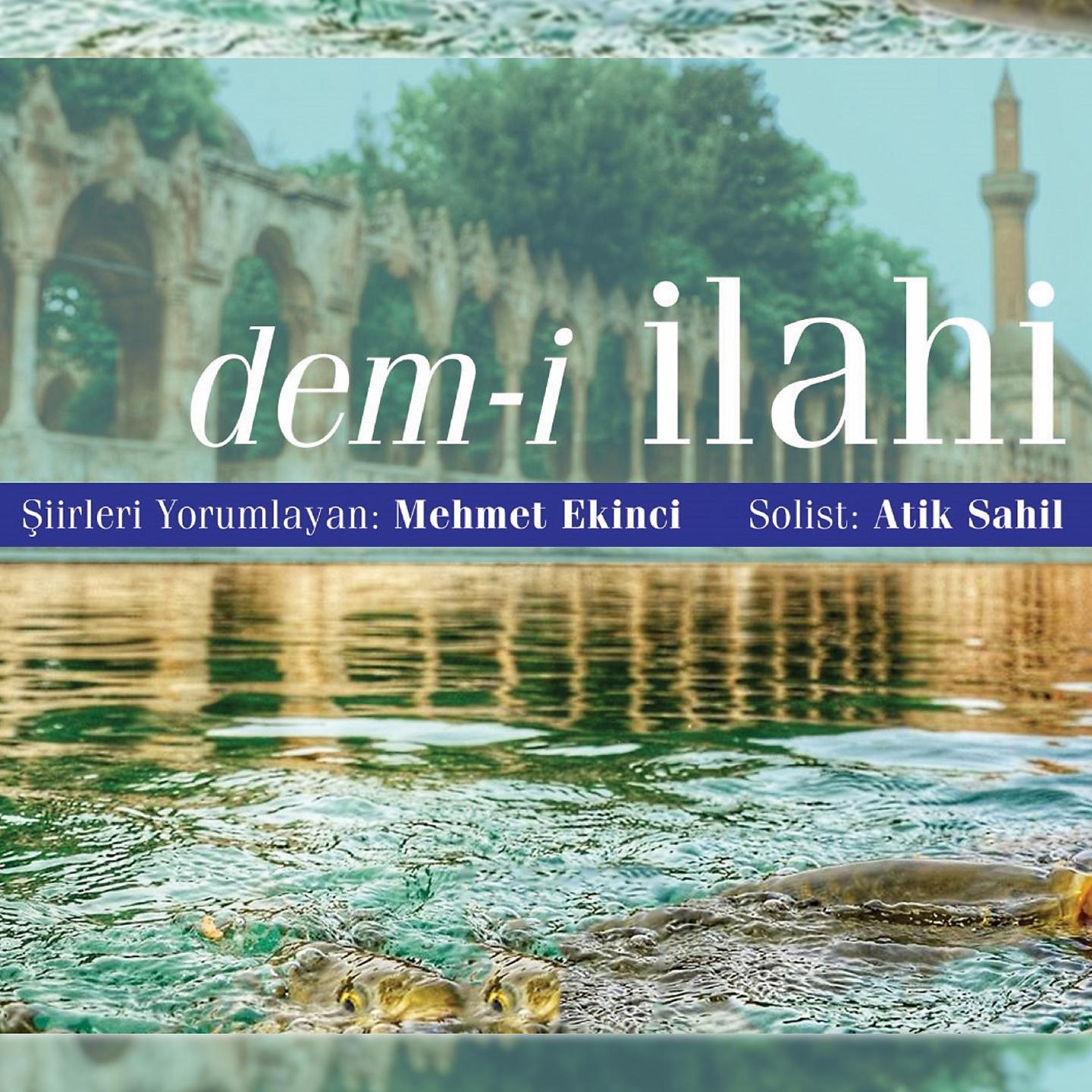 Постер альбома Dem-i İlahi