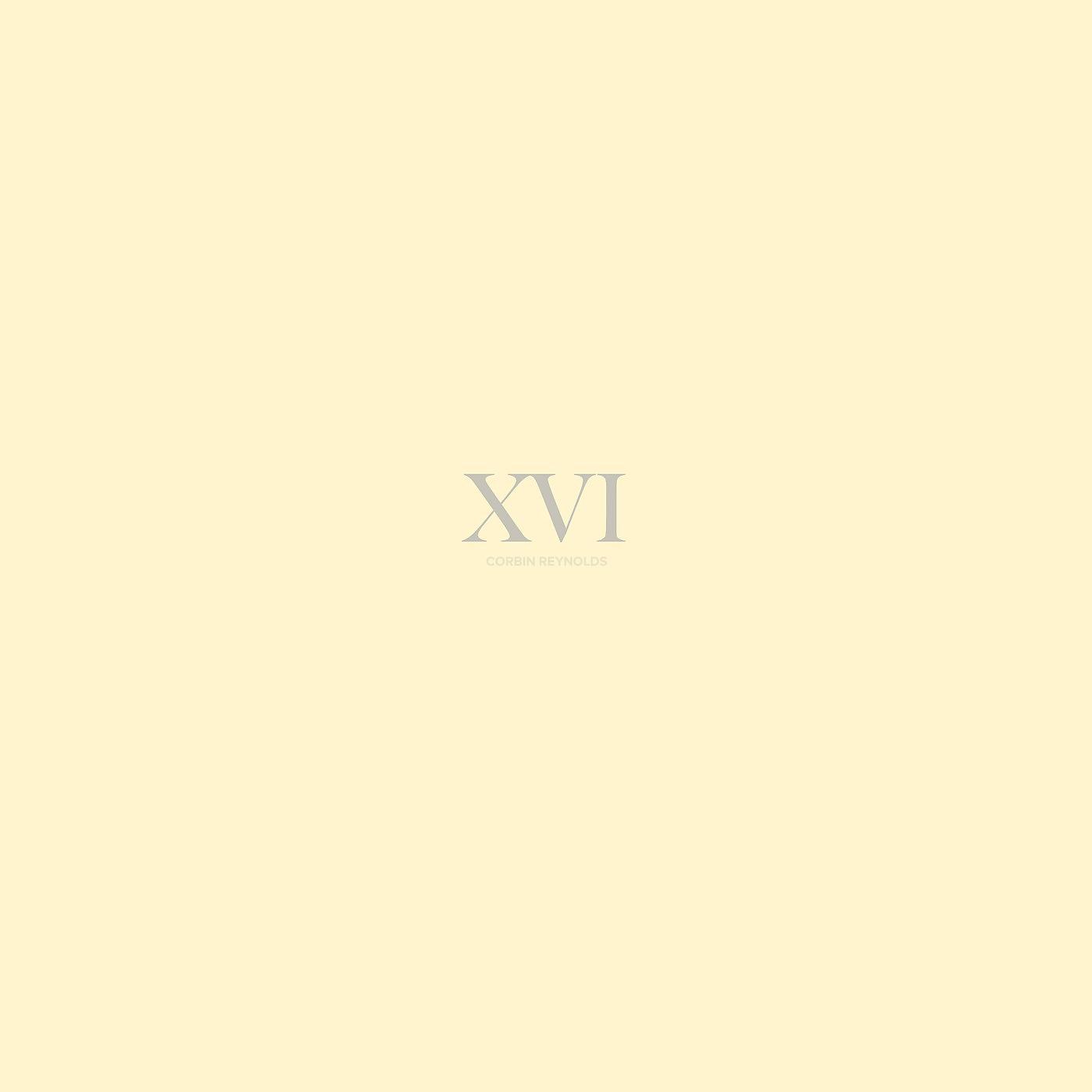Постер альбома XVI