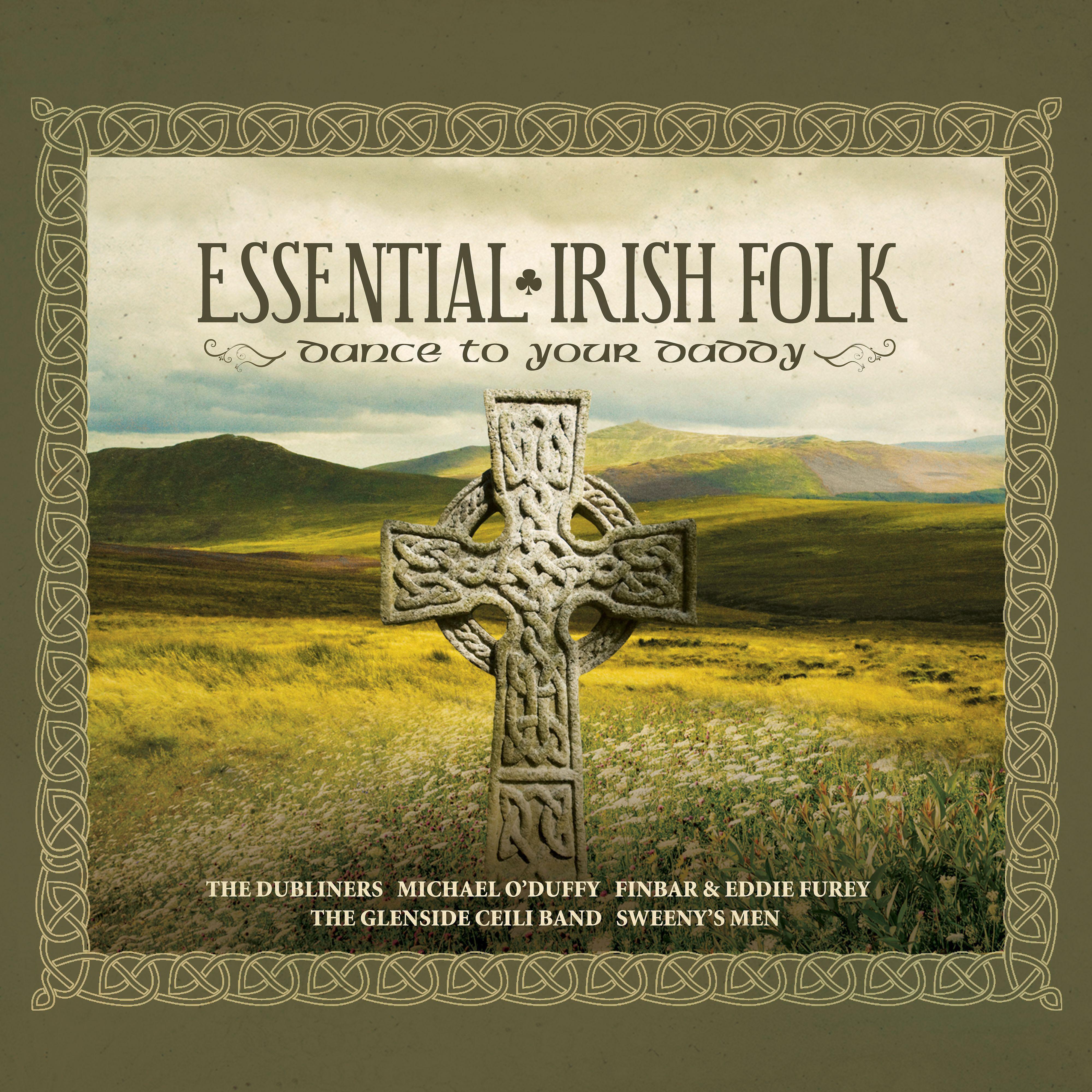 Постер альбома Essential Irish Folk