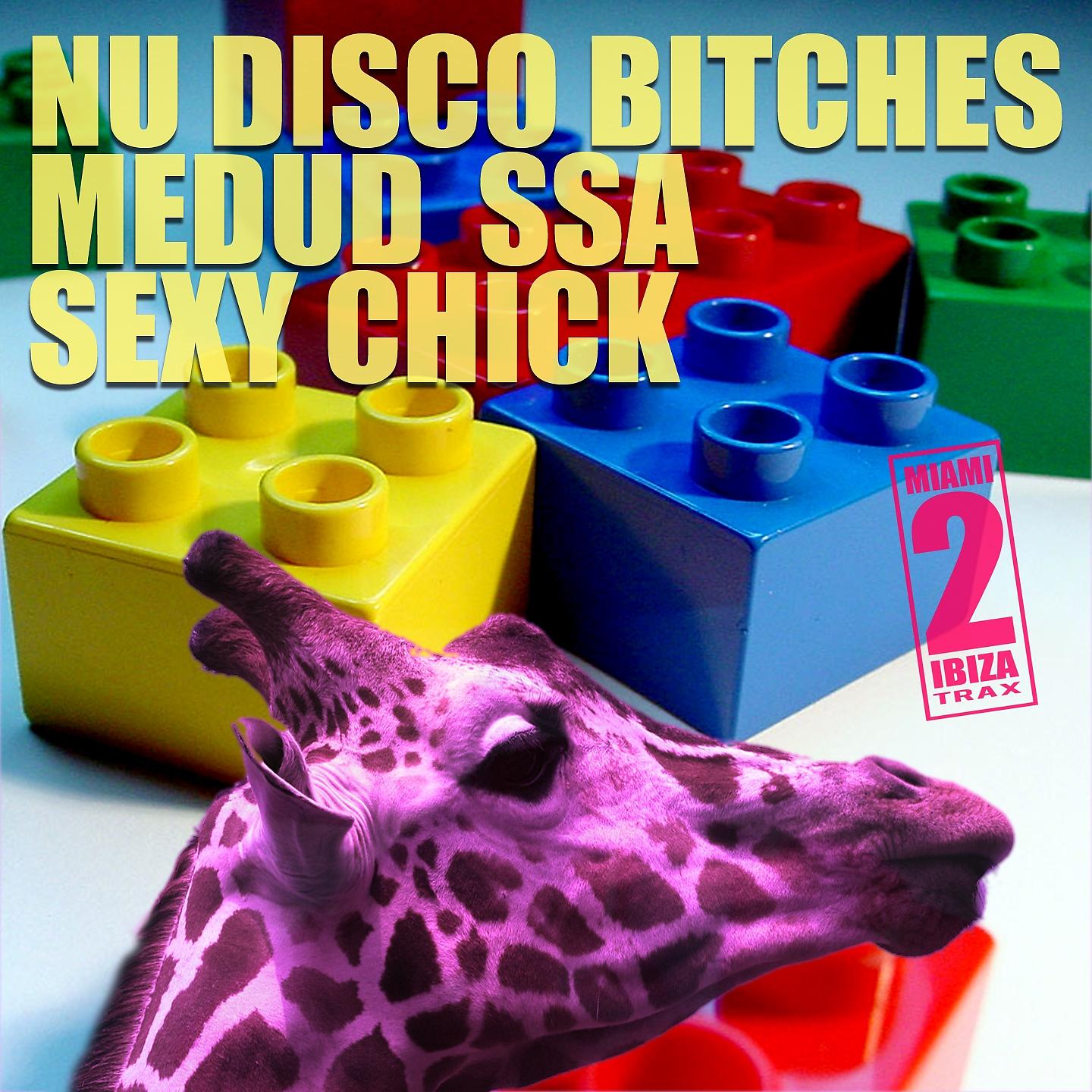 Постер альбома Sexy Chick