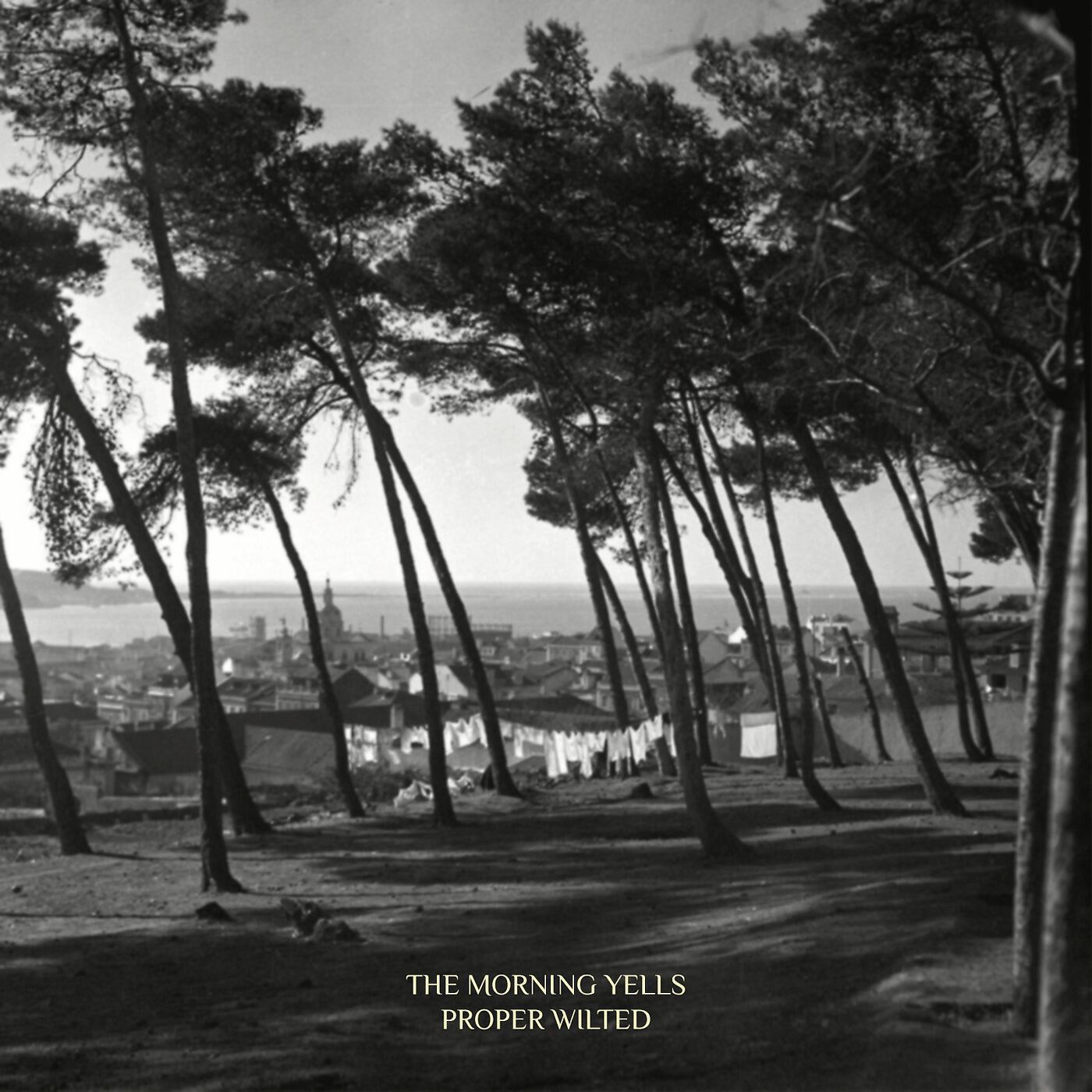 The Morning Yells - She Knows Exactly What She's Doing