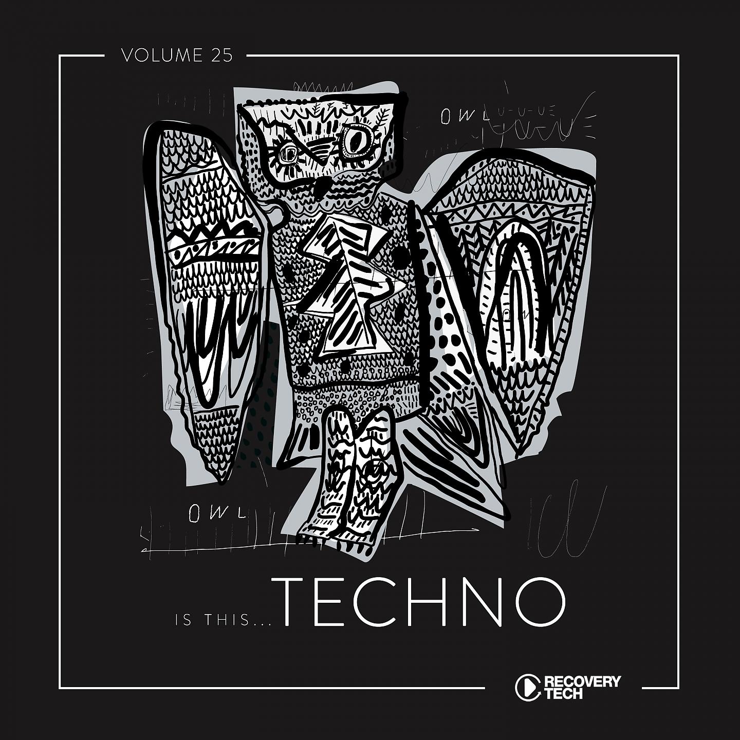 Постер альбома Is This Techno?, Vol. 25