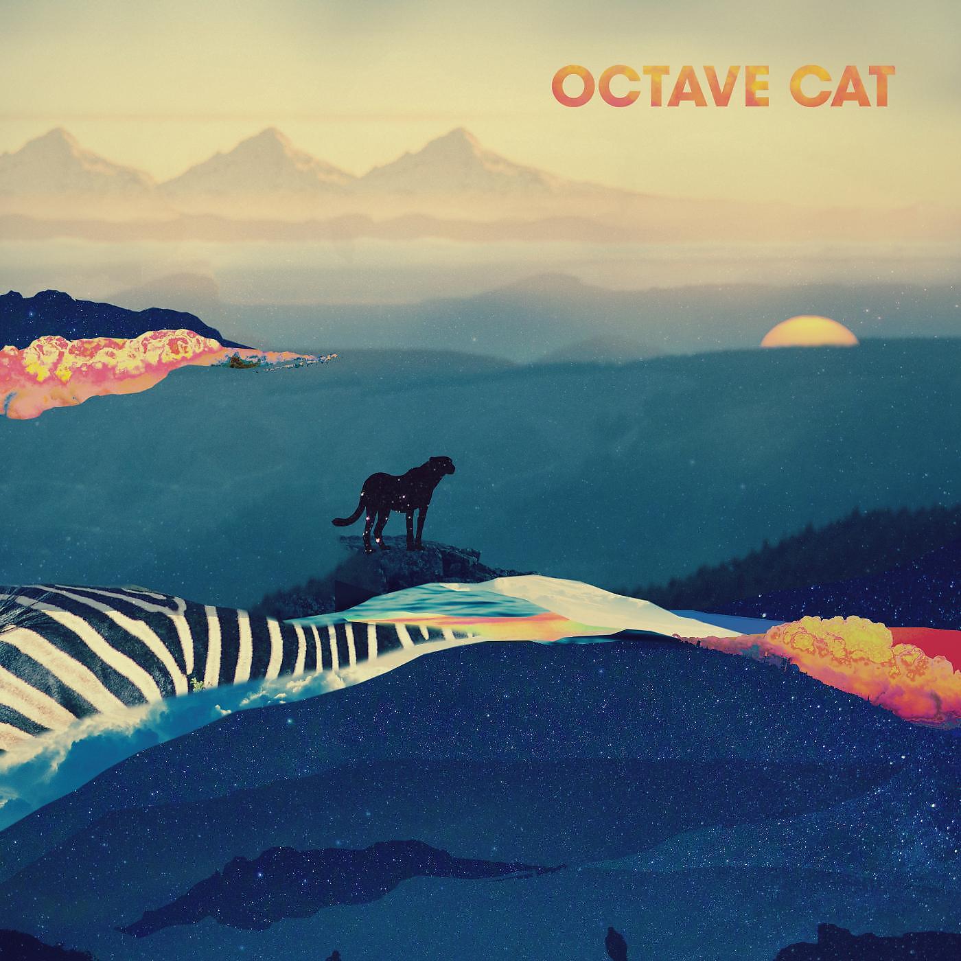 Постер альбома Octave Cat