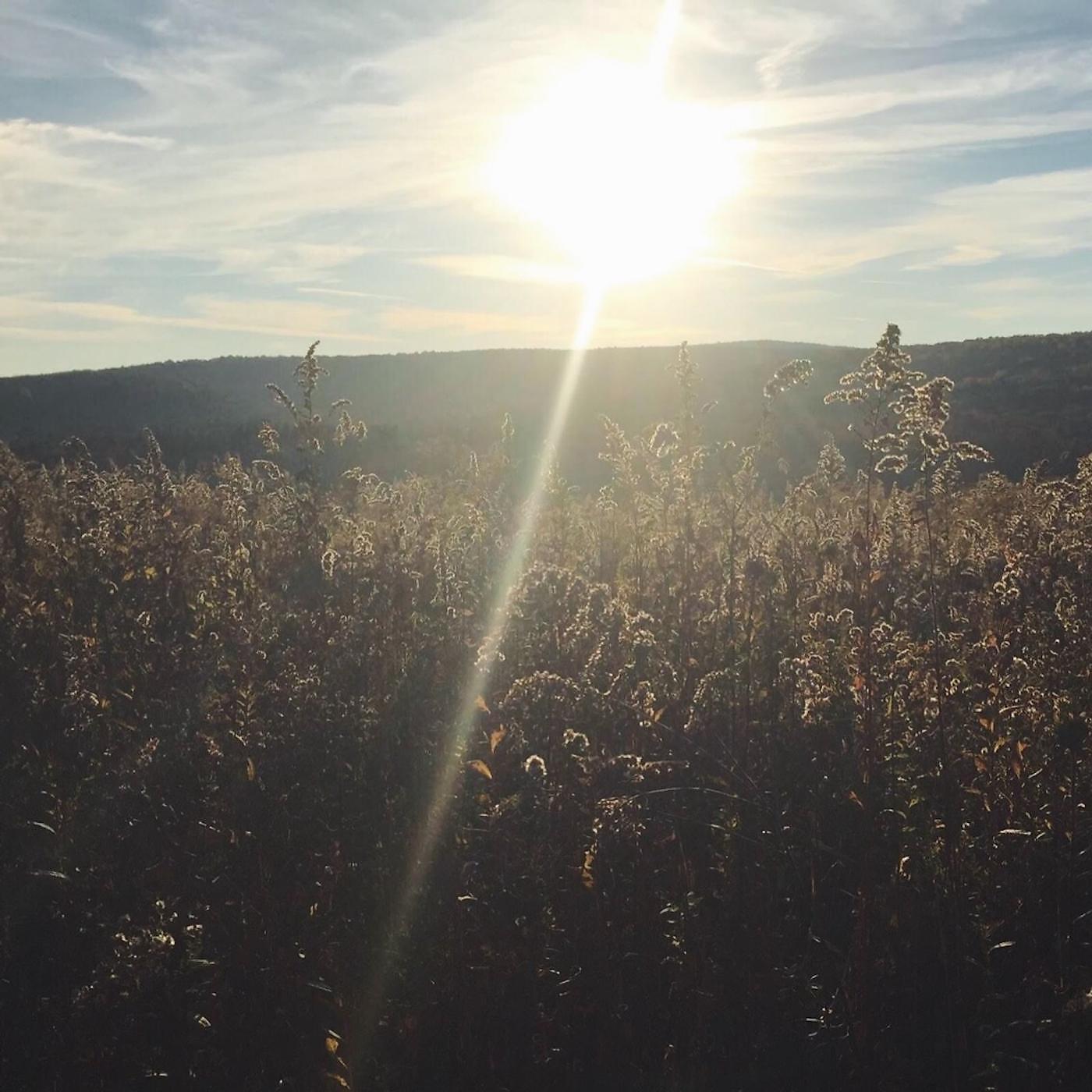 Kina Grannis - God Only Knows (feat. Imaginary Future)