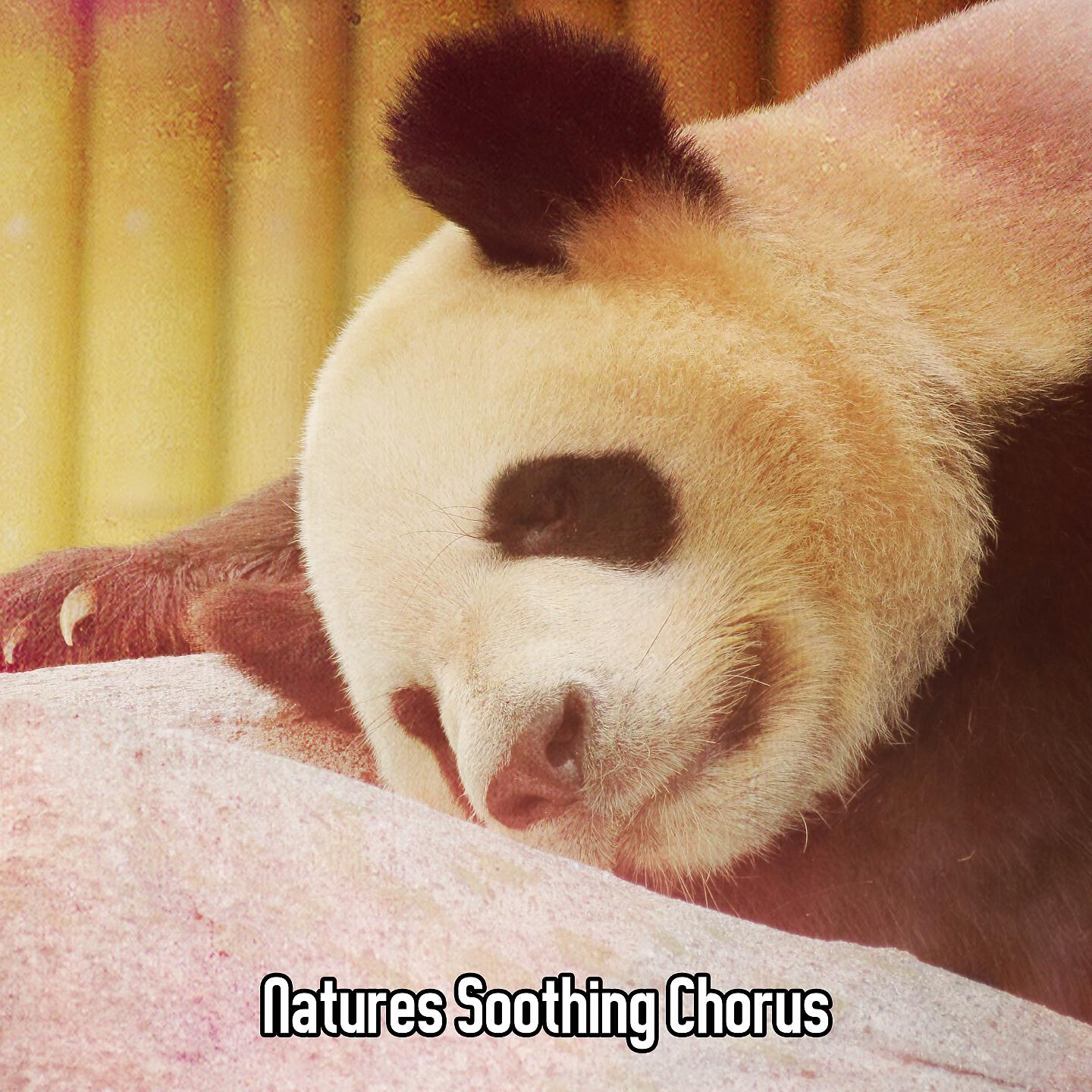 All Night Sleeping Songs to Help You Relax - Chiming Rain Drops