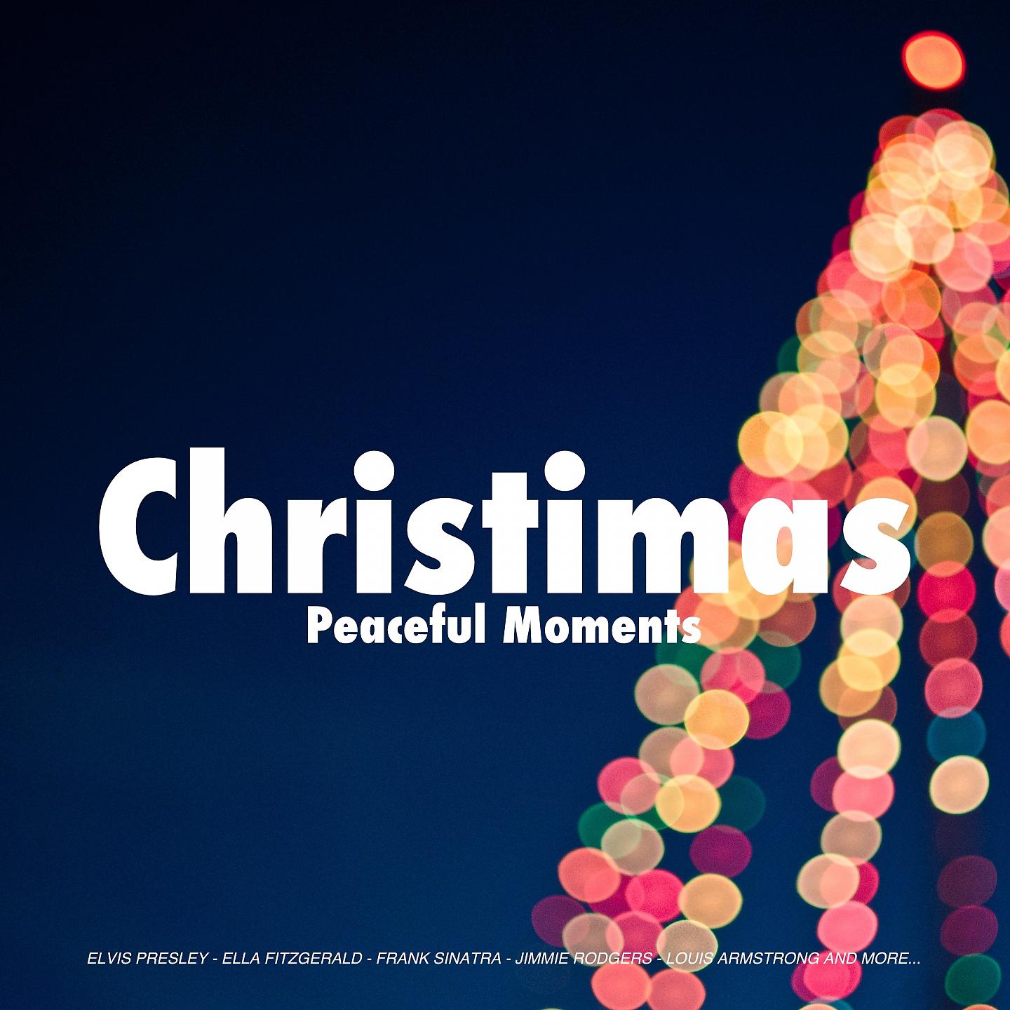 Постер альбома Christmas Peaceful Moments