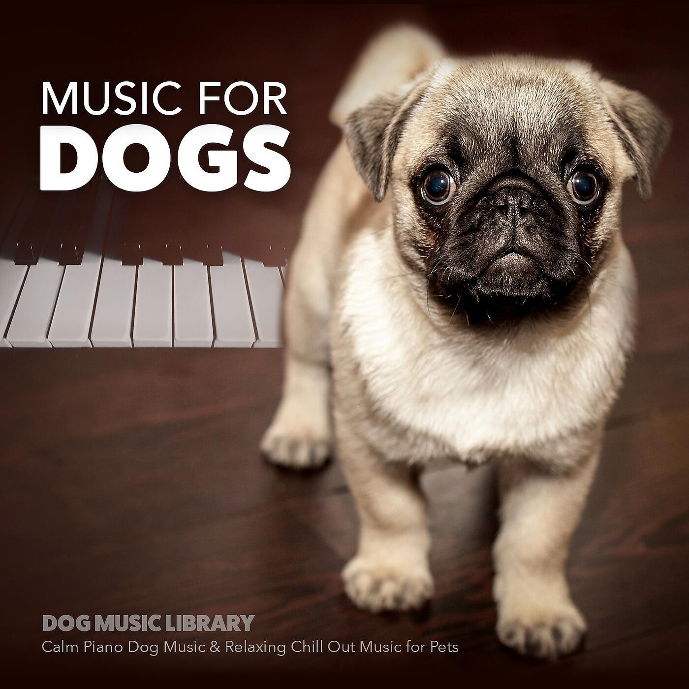 Dog Music Library - Fox & the Hound